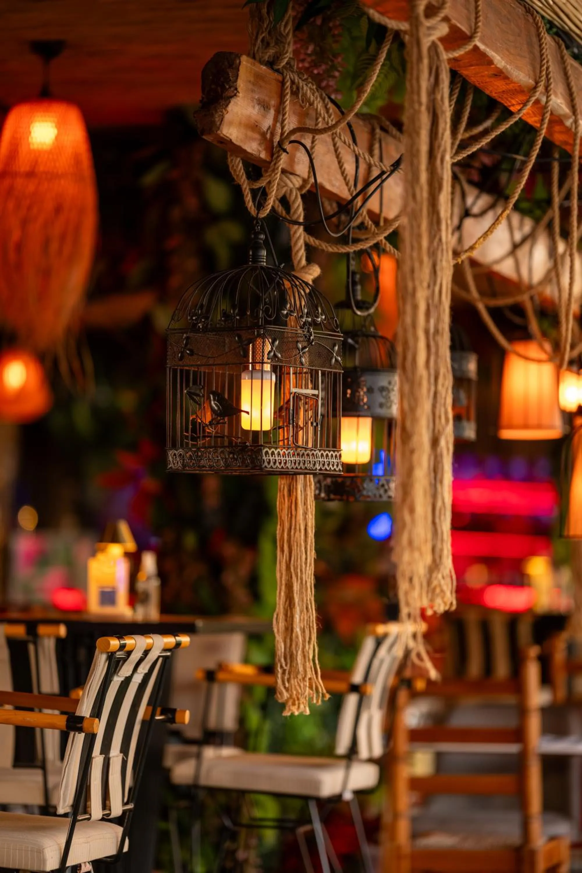 Restaurant/places to eat in Palmonte Suites Hotel & SPA