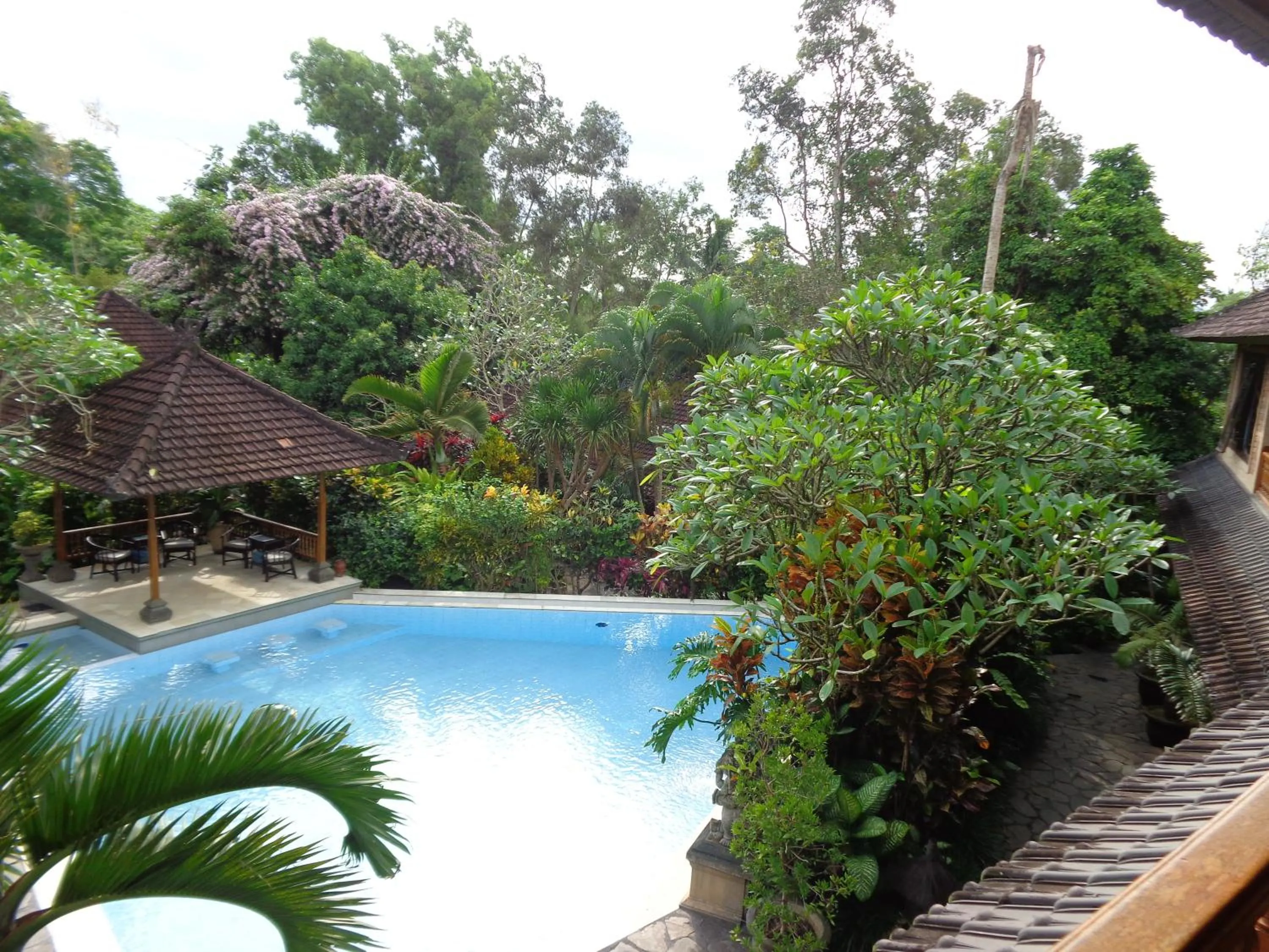 Swimming pool in Klub Kokos Bungalows