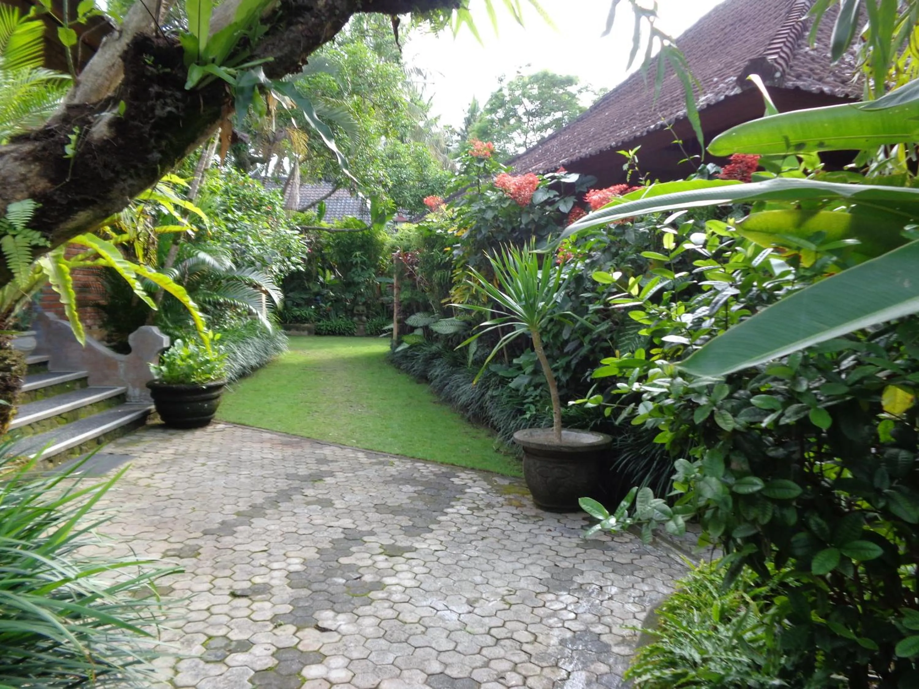 Garden in Klub Kokos Bungalows