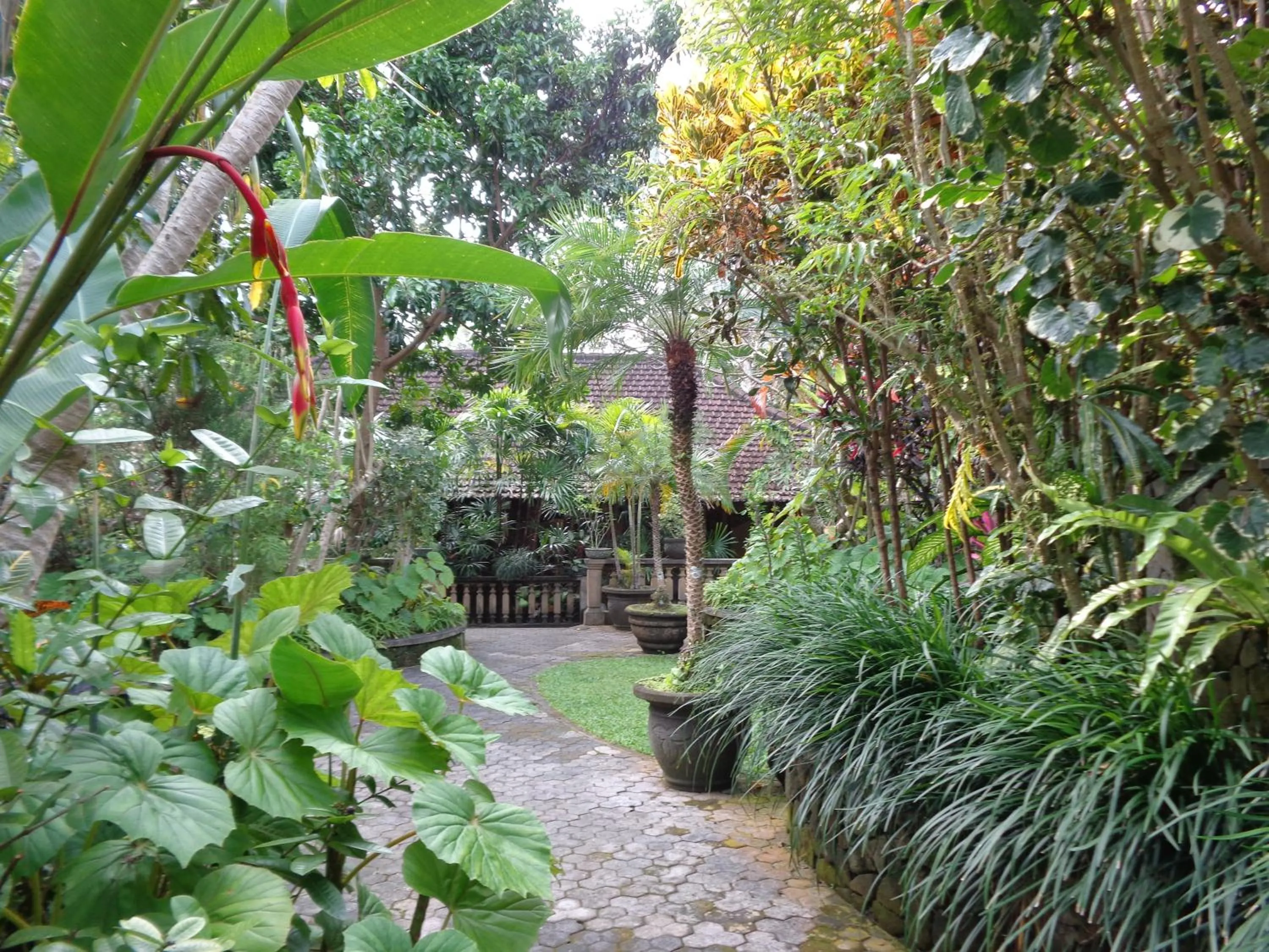 Garden in Klub Kokos Bungalows