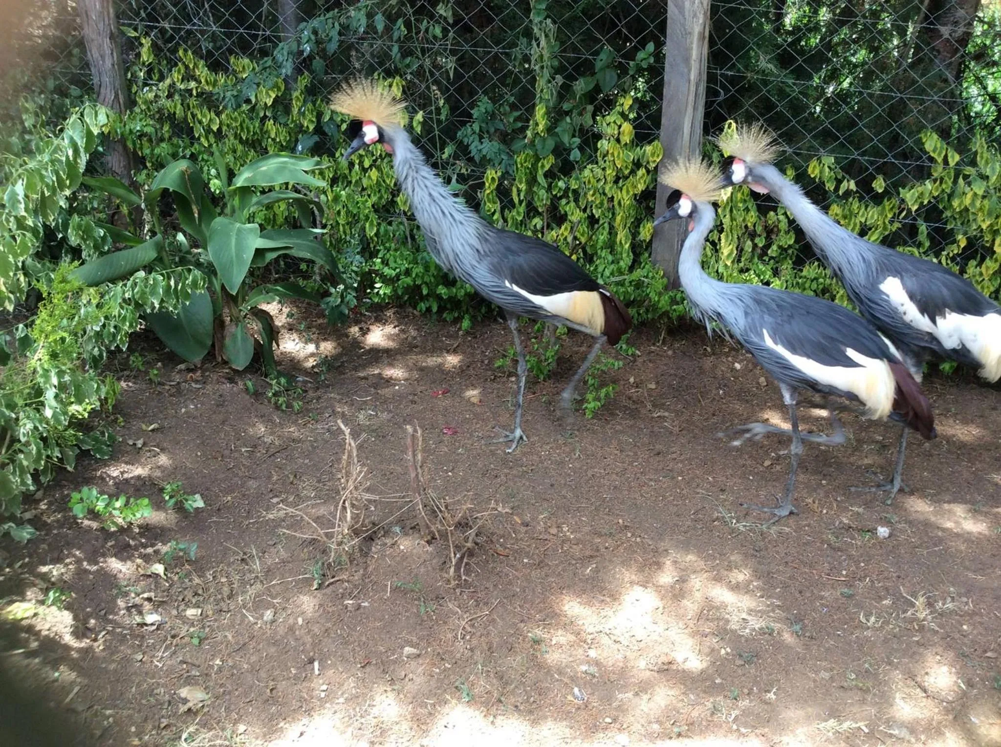 Day in Tranquil Homestays