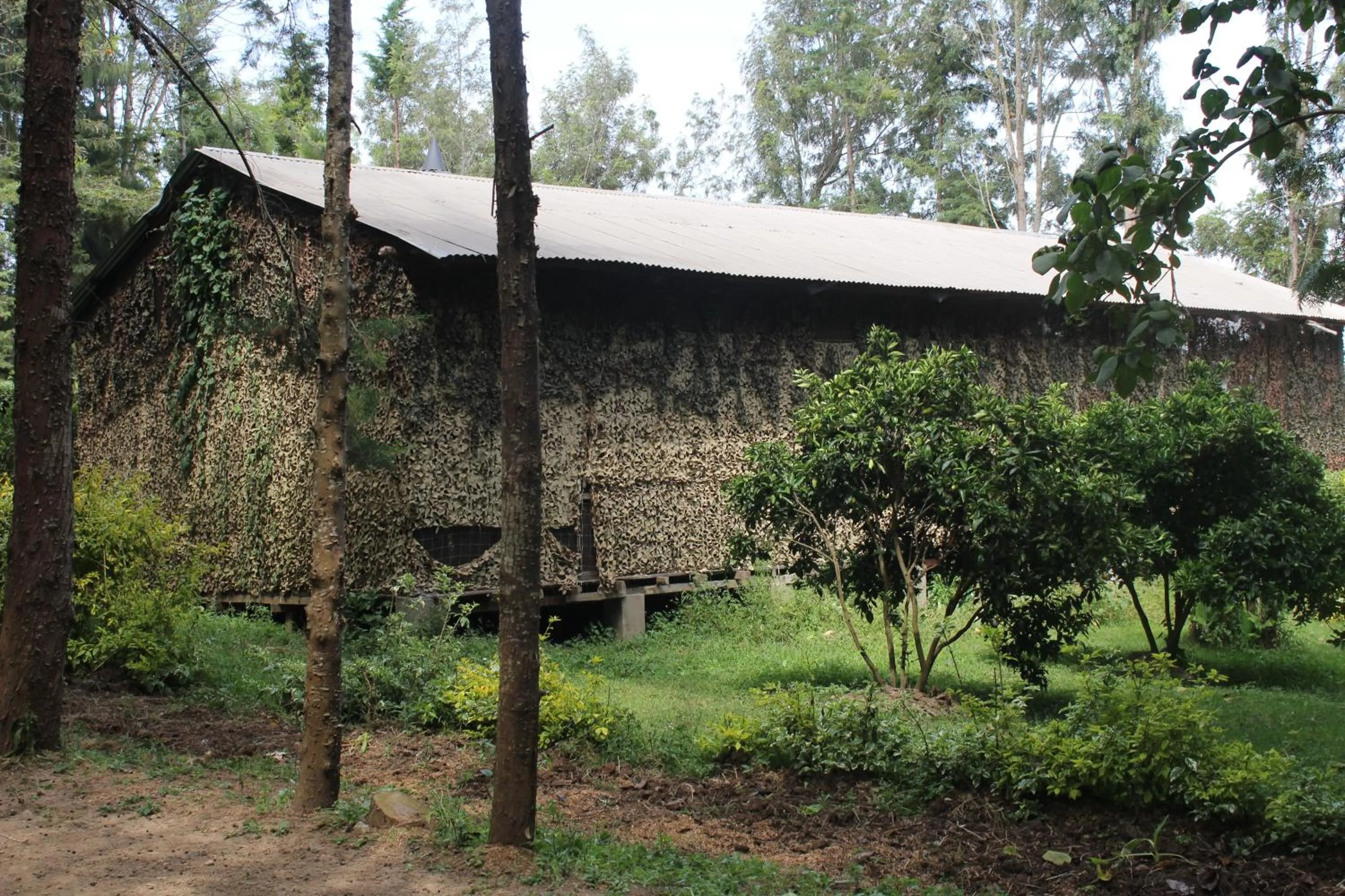 Meeting/conference room in Tranquil Homestays