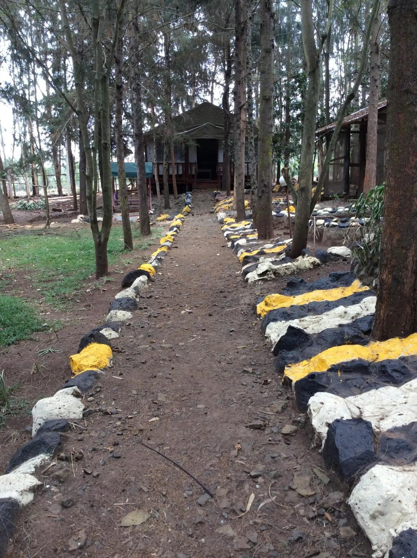 Garden in Tranquil Homestays