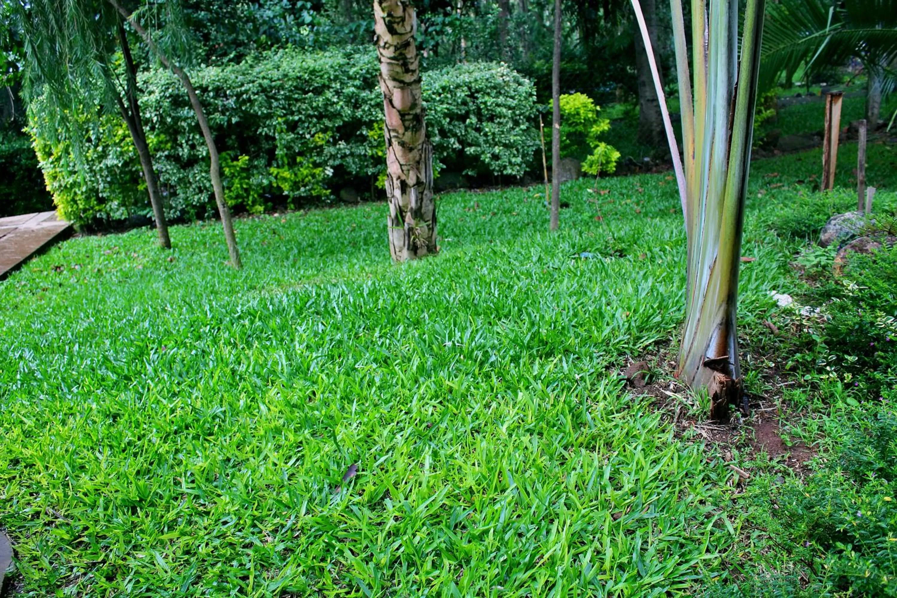 Garden in Tranquil Homestays