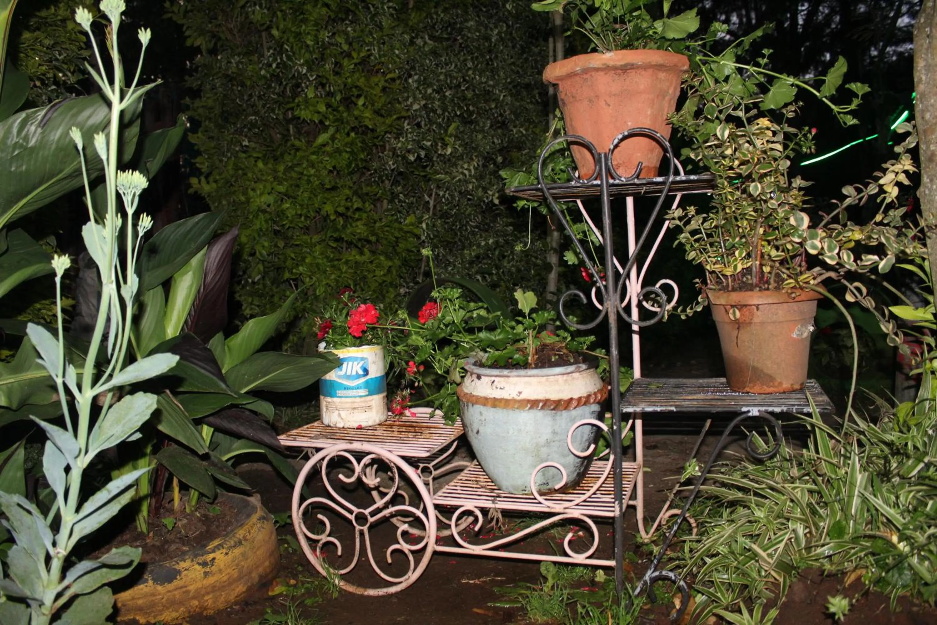 Garden in Tranquil Homestays