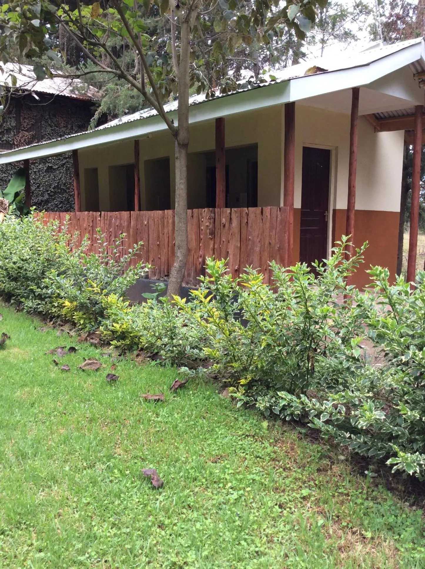 Garden in Tranquil Homestays