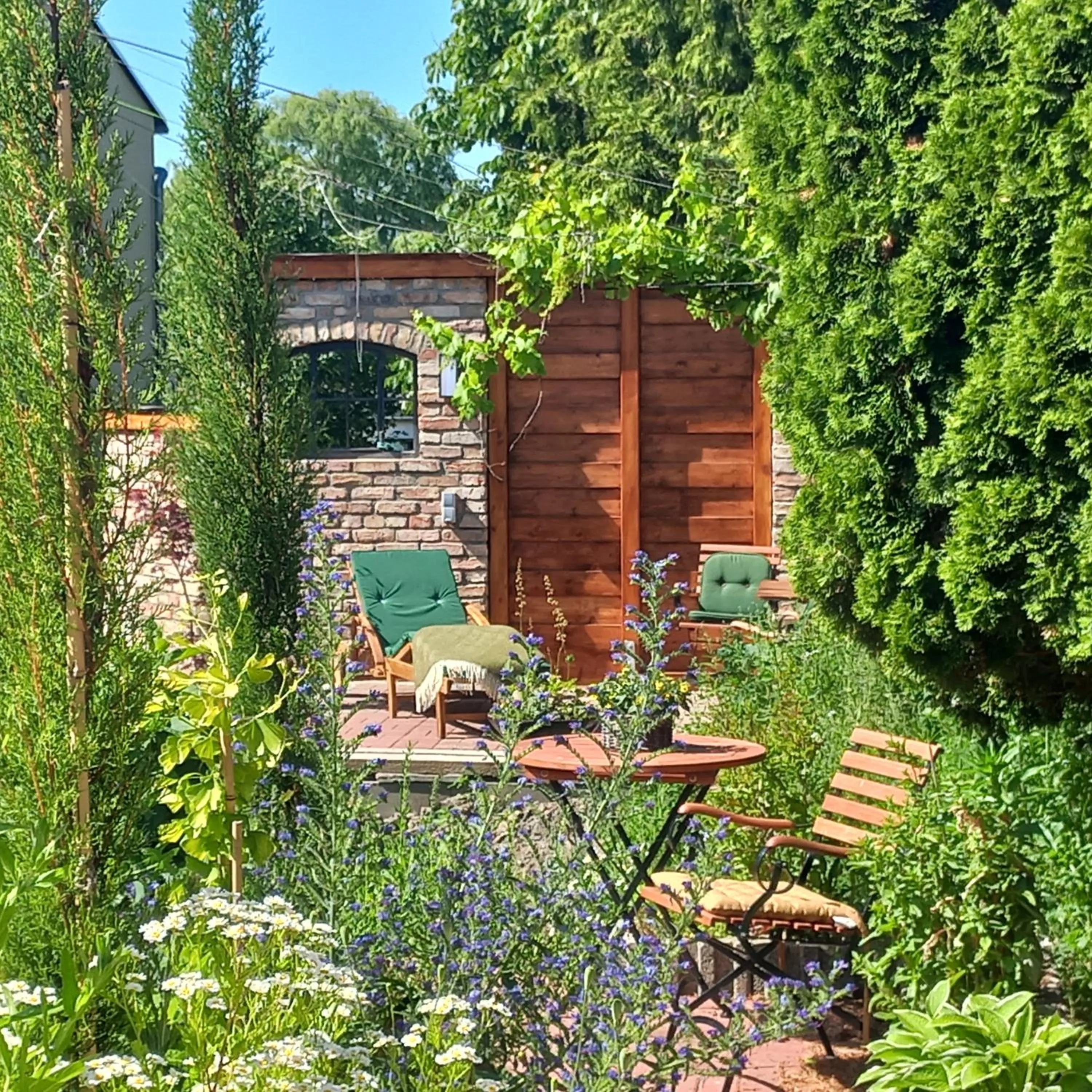 Garden in Triskele Haus - Ökologisches Gästehaus der Heilstätte Strelitz