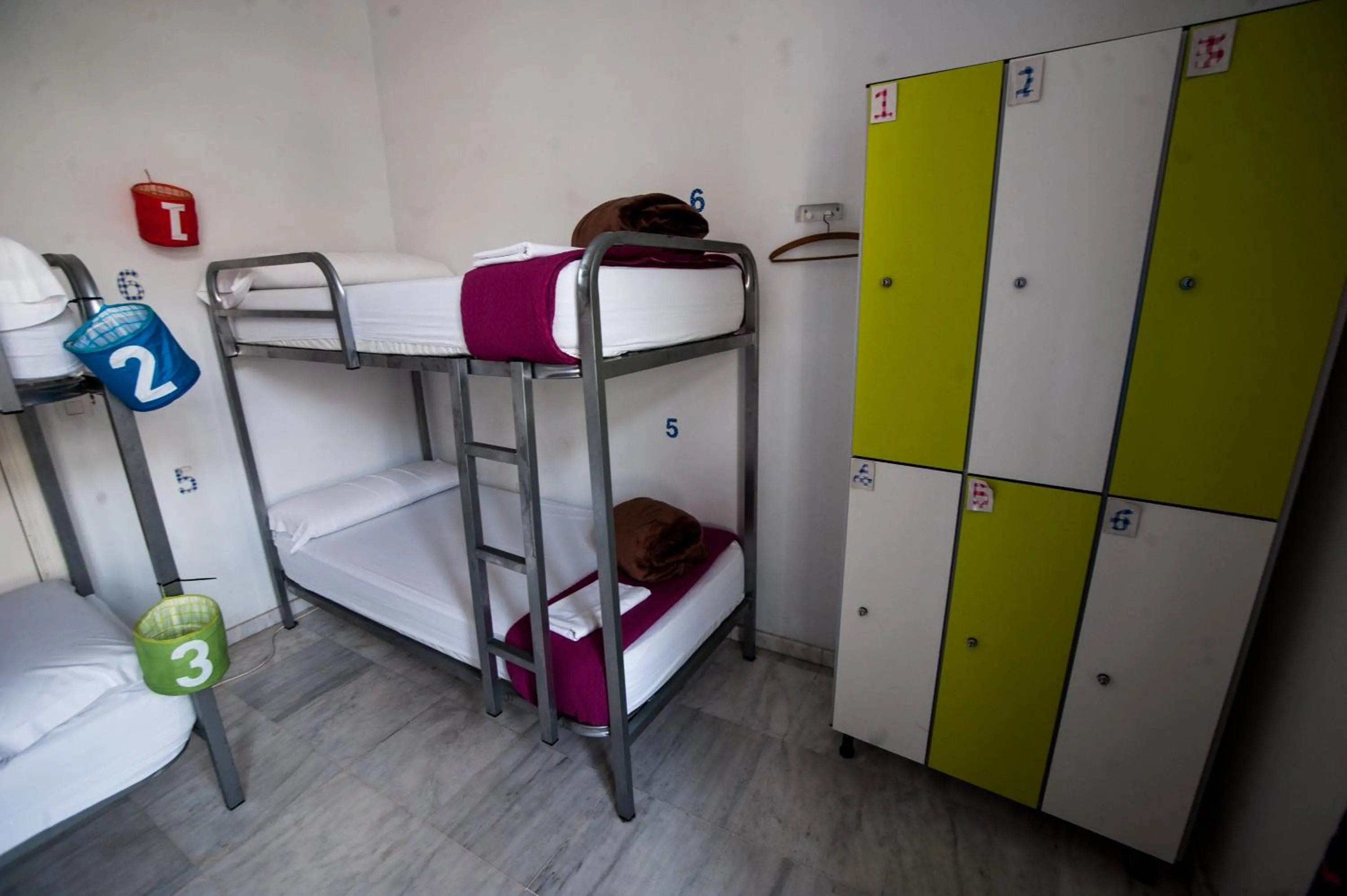 View (from property/room), Bed in La Flamenka Hostel