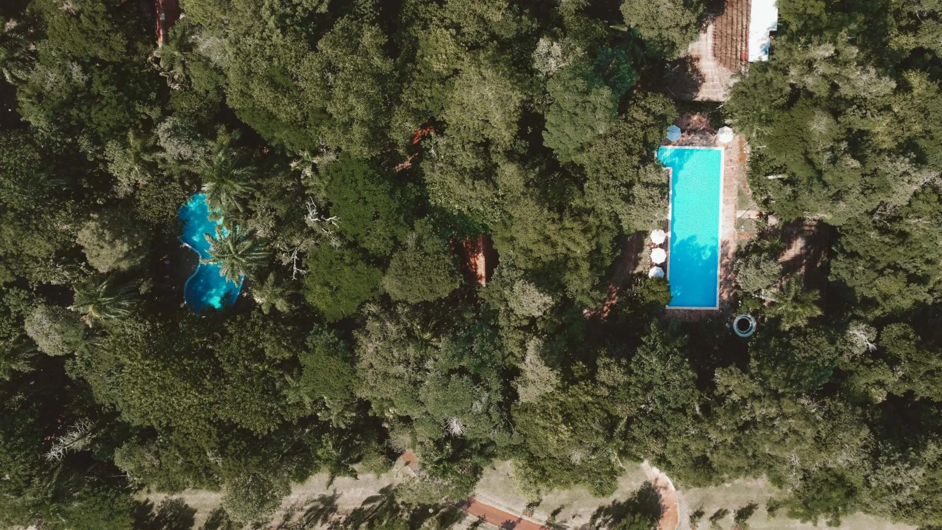 Bird's eye view in Overo Lodge & Selva