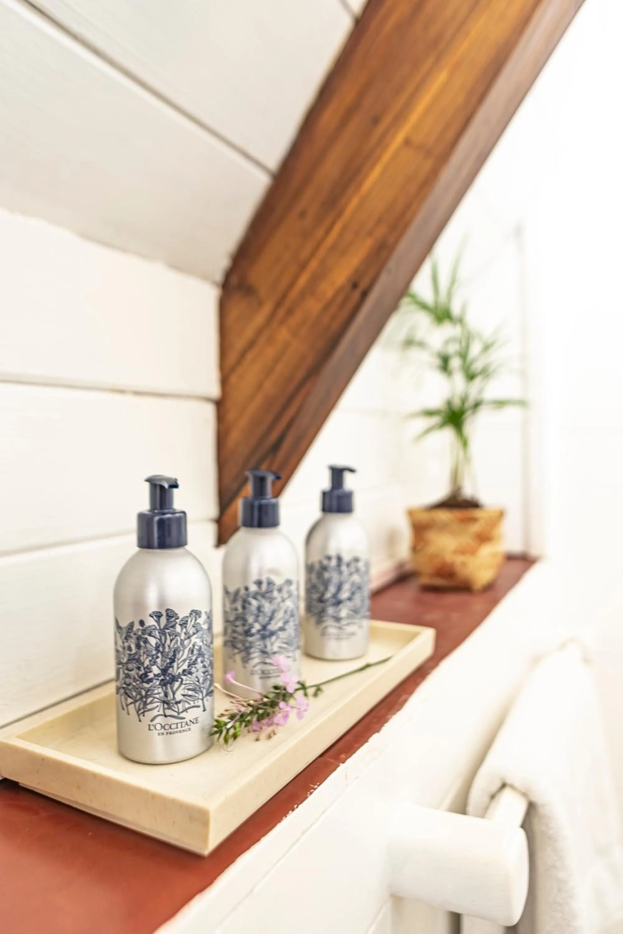 Bathroom in Overo Lodge & Selva