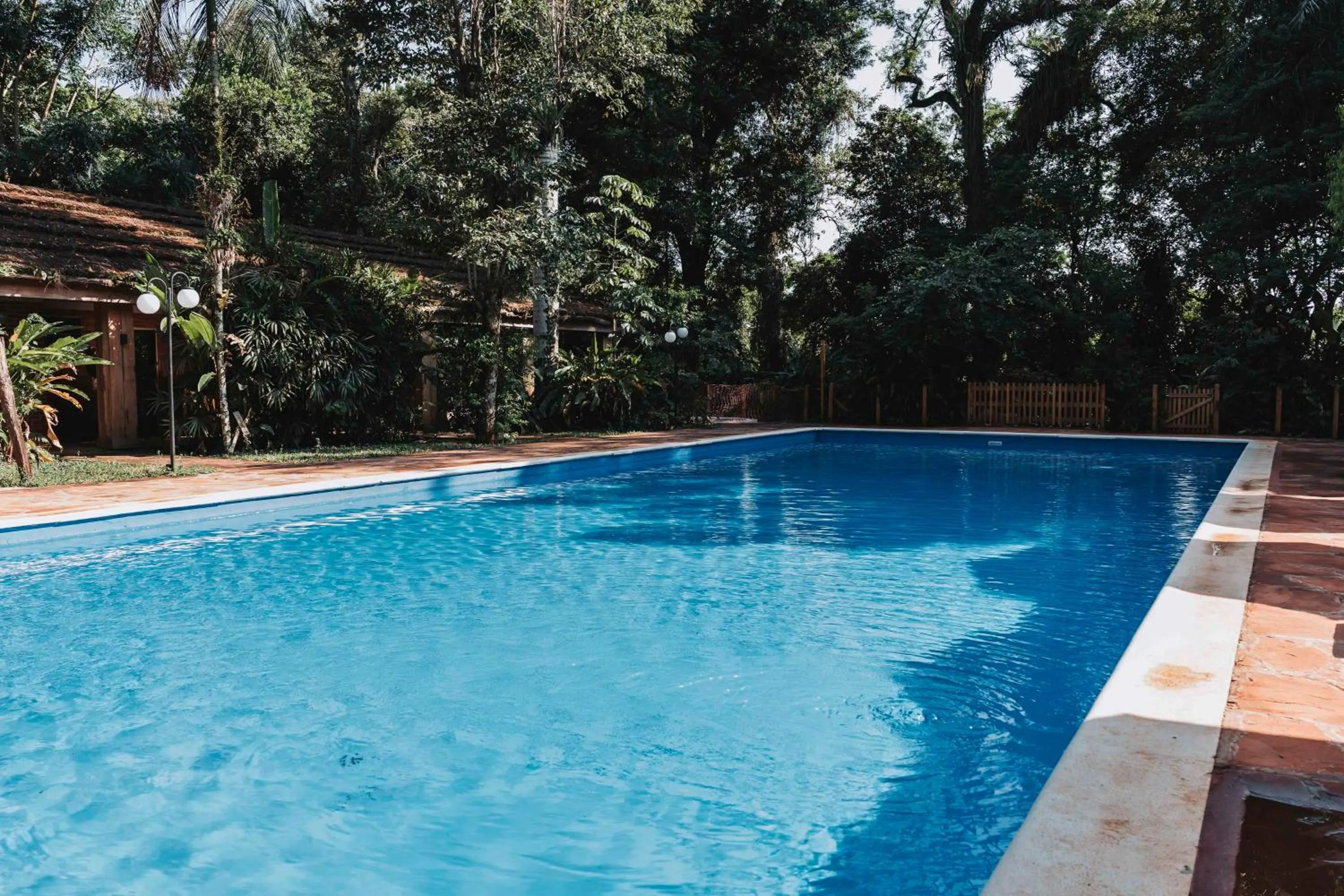 Pool view in Overo Lodge & Selva