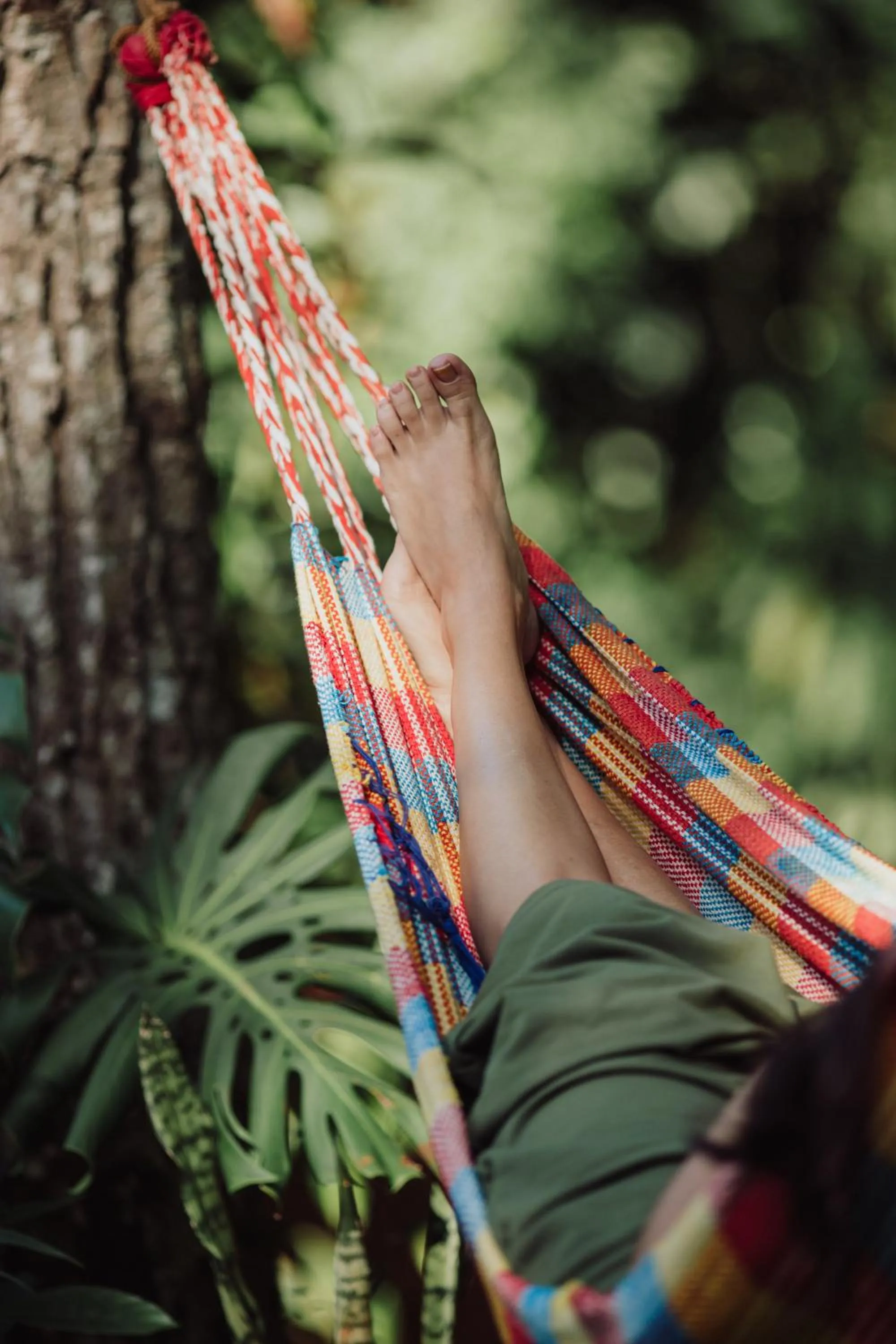 Property building in Overo Lodge & Selva