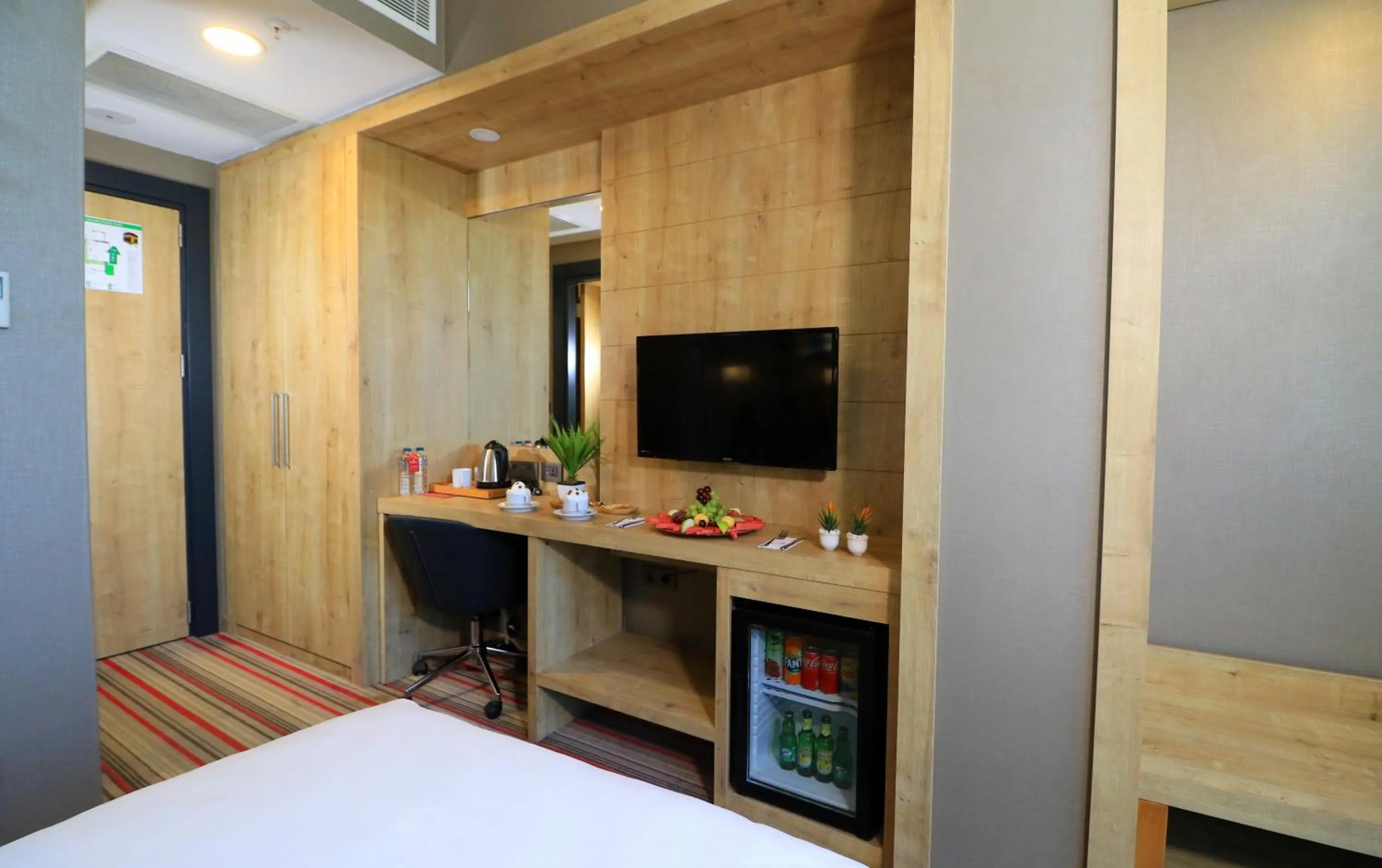 TV and multimedia in Vakfıkebir oteli