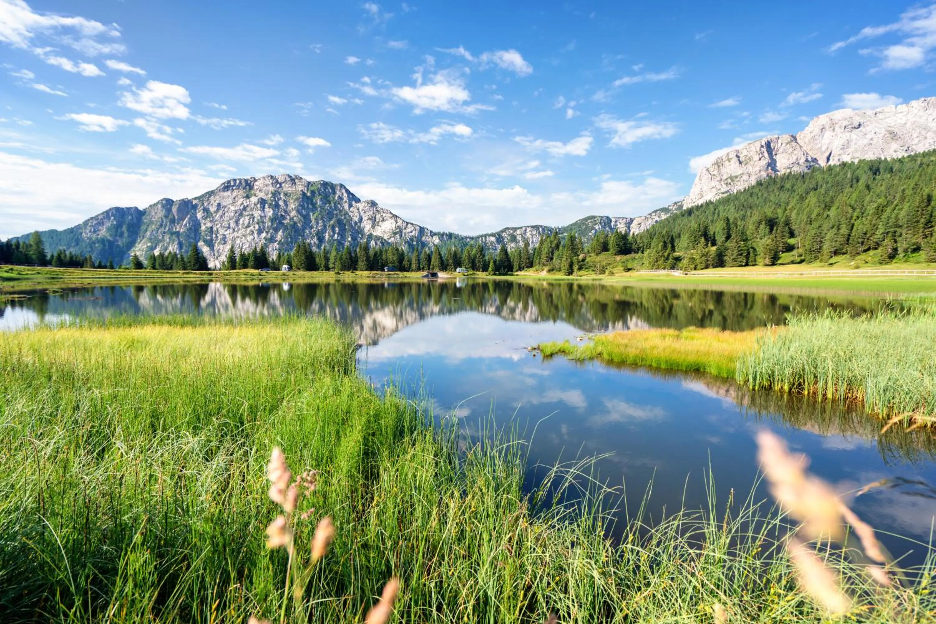 Natural landscape in Der Tröpolacherhof Hotel & Restaurant