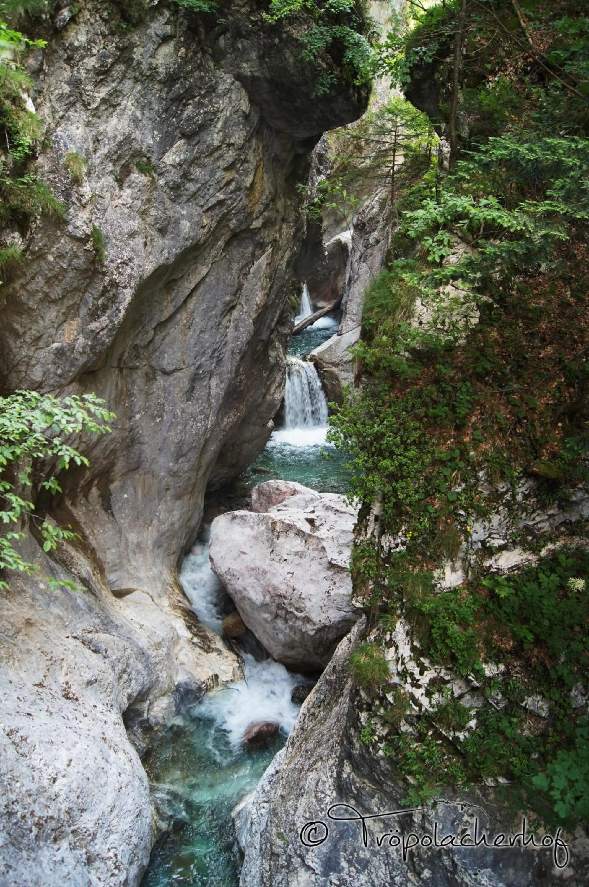 Area and facilities in Der Tröpolacherhof Hotel & Restaurant
