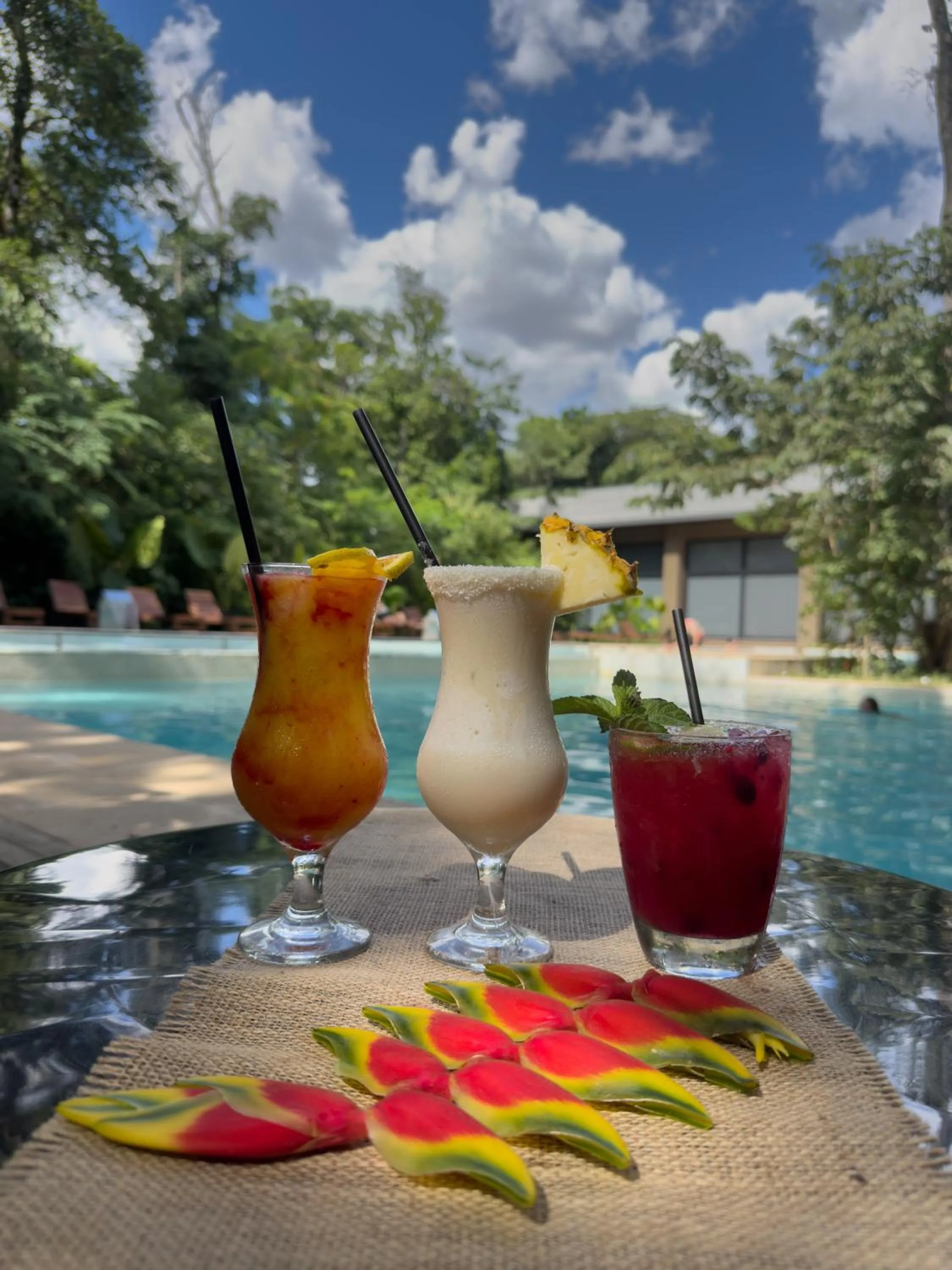 Swimming pool in Hotel Tré Iguazú
