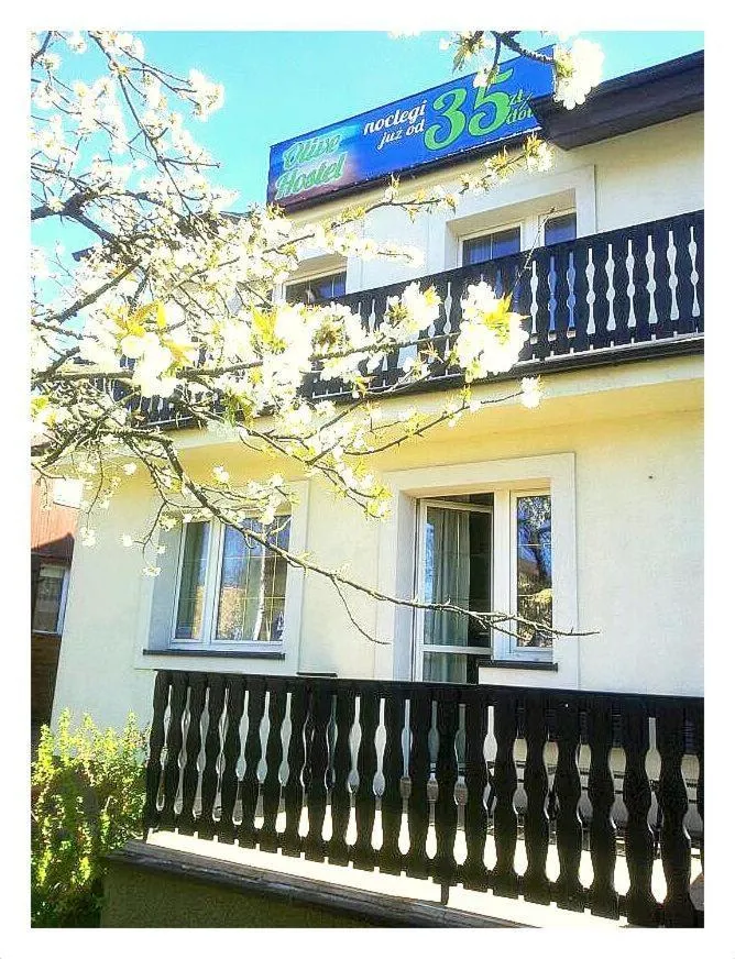 Olive Hostel