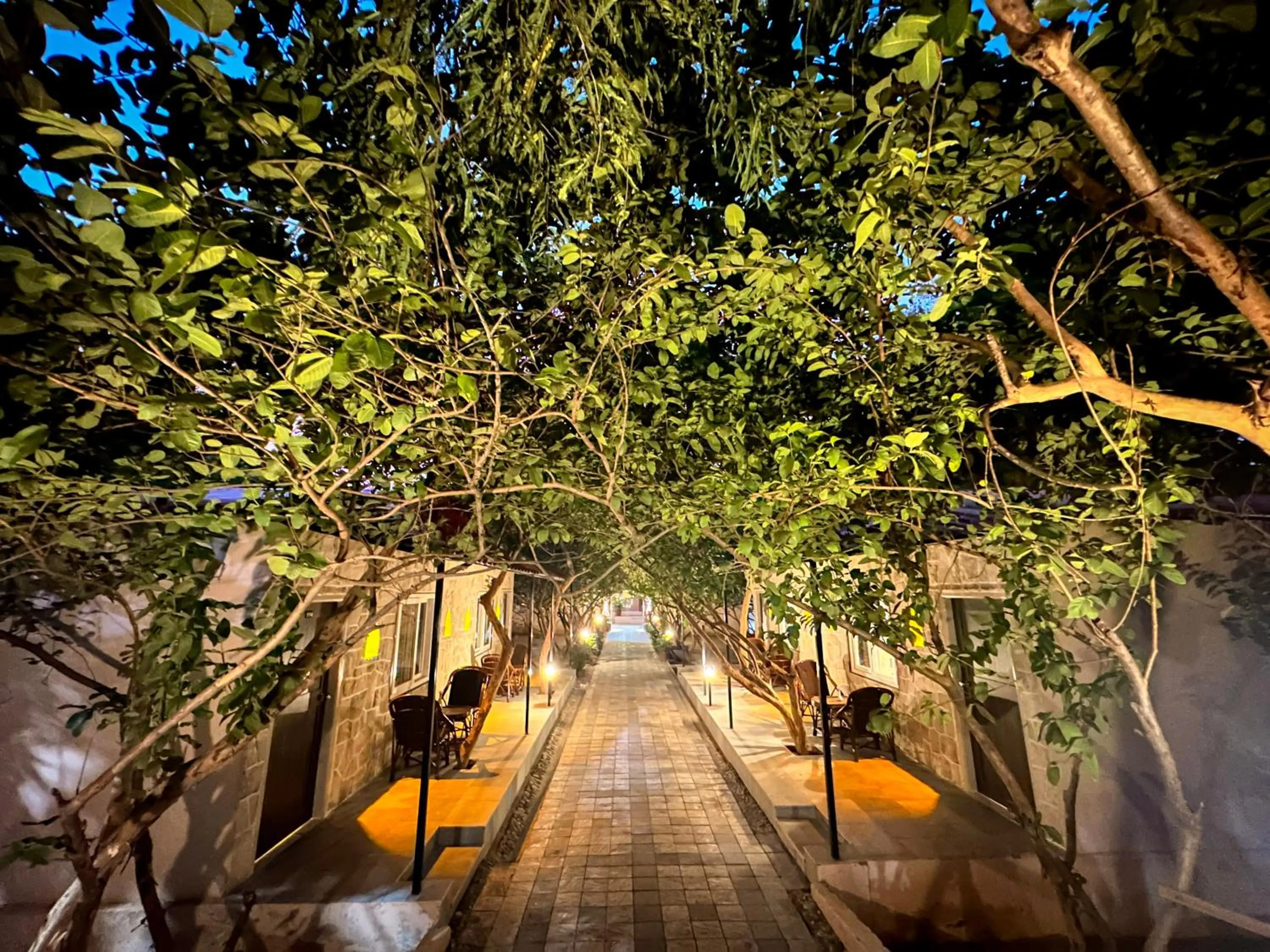 View (from property/room) in Ranthambhore National Resort