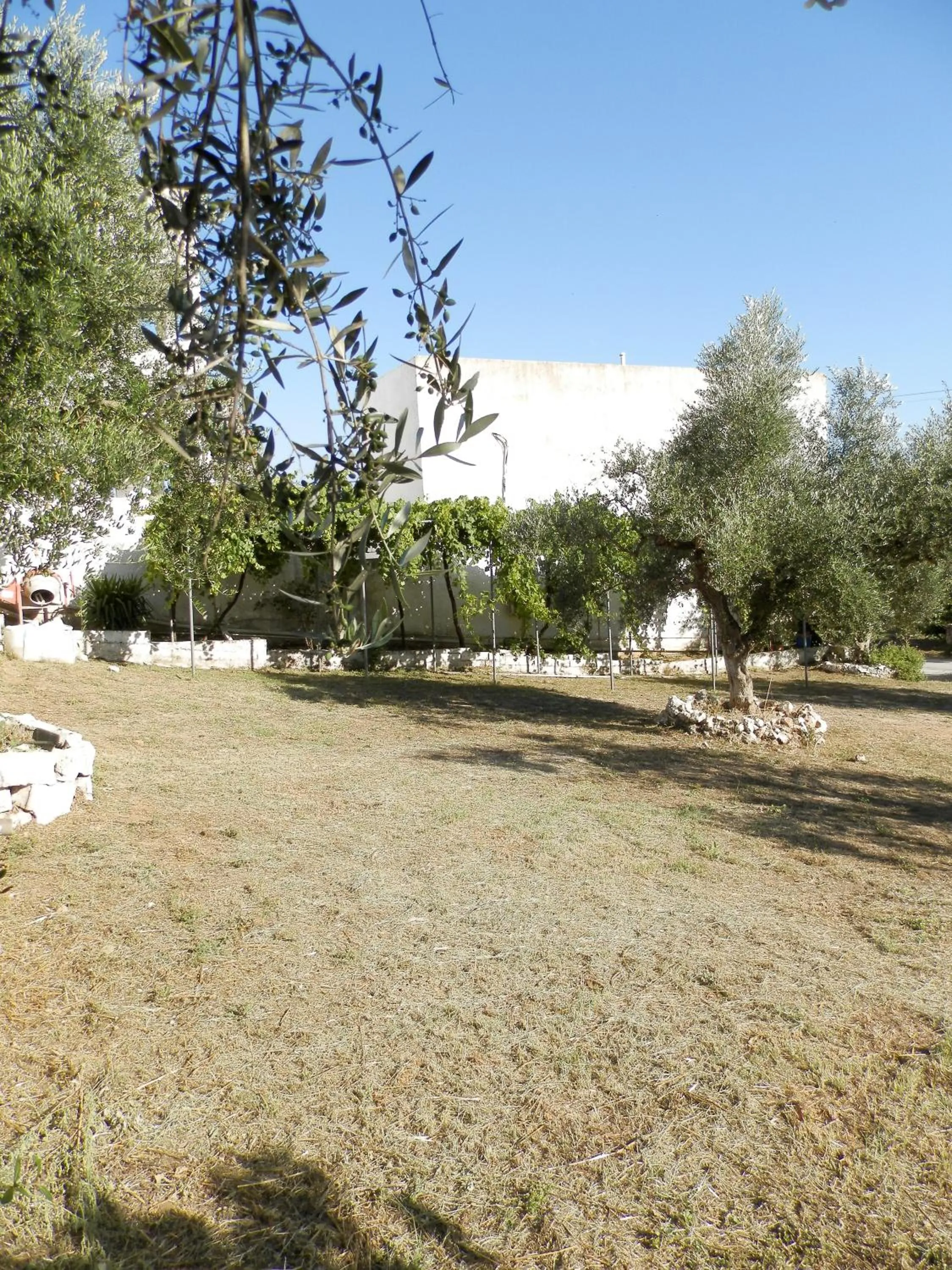 Garden in Aeolos Hotel Apartments