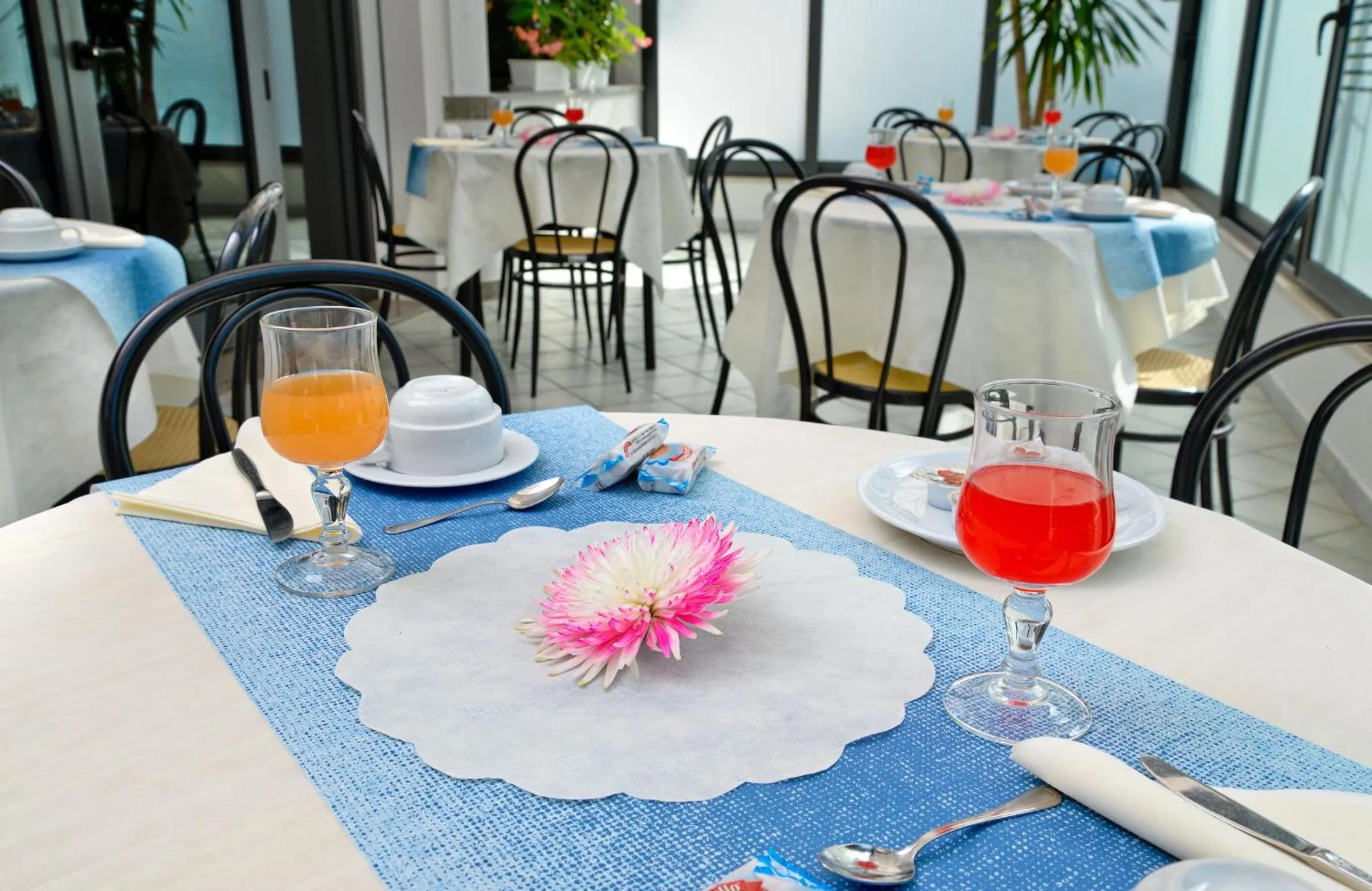 Non alcoholic drinks in Hotel Ciondolo D'Oro 5 minuti da Rimini Fiera CON PARCHEGGIO INCLUSO