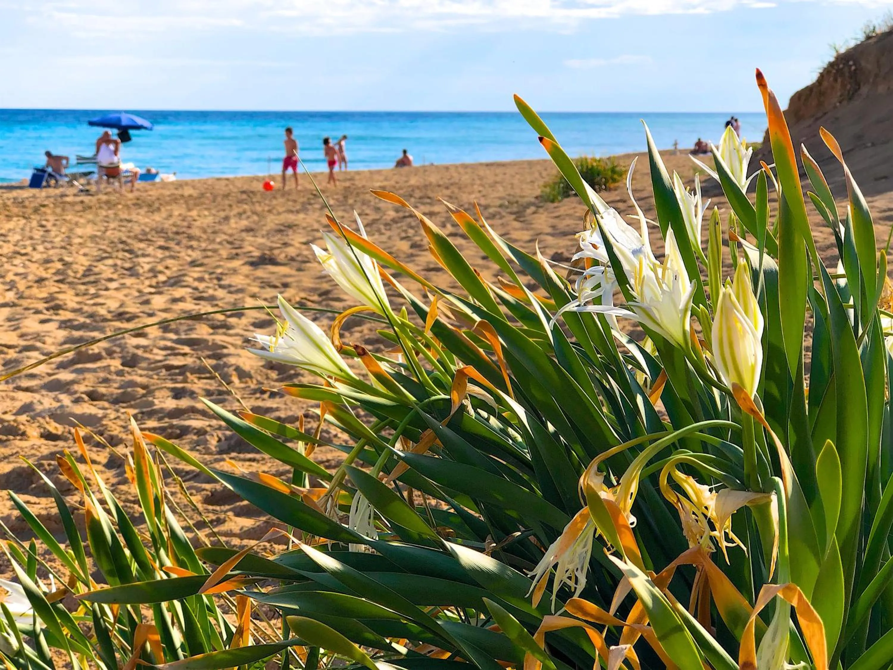 Nearby landmark in B&B NiloSira