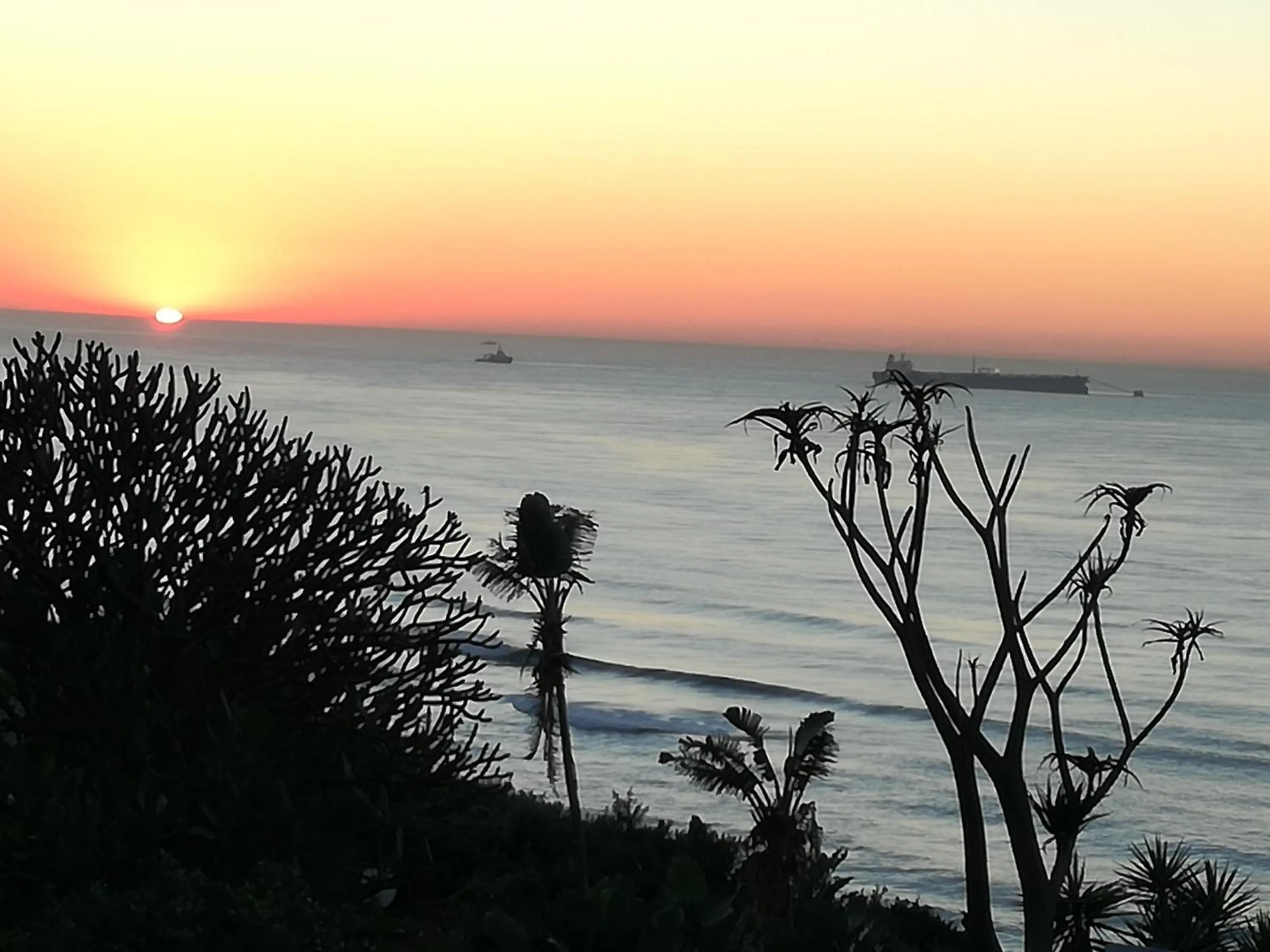 Sea view in Dolphin Point B&B