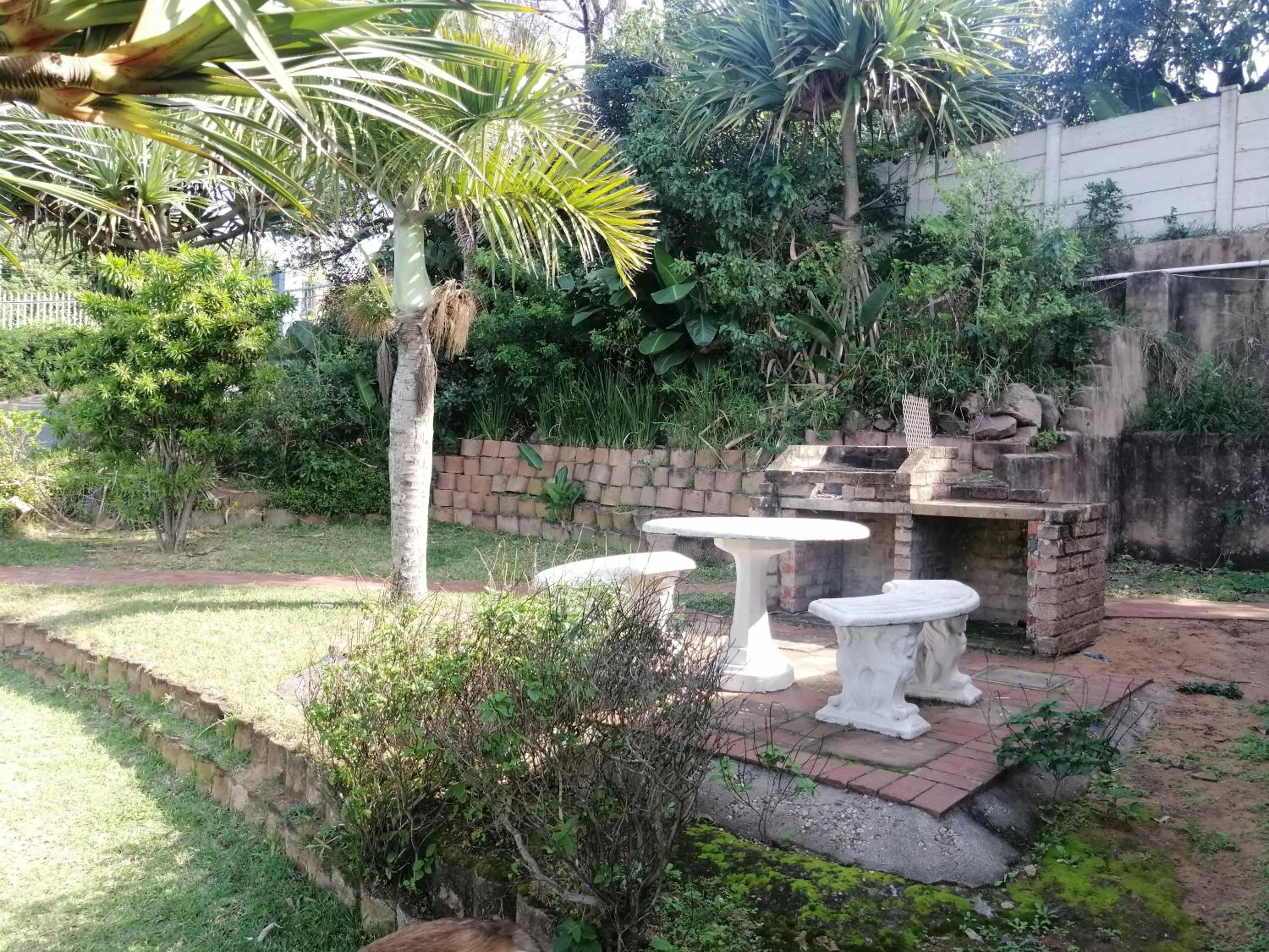 BBQ facilities in Dolphin Point B&B