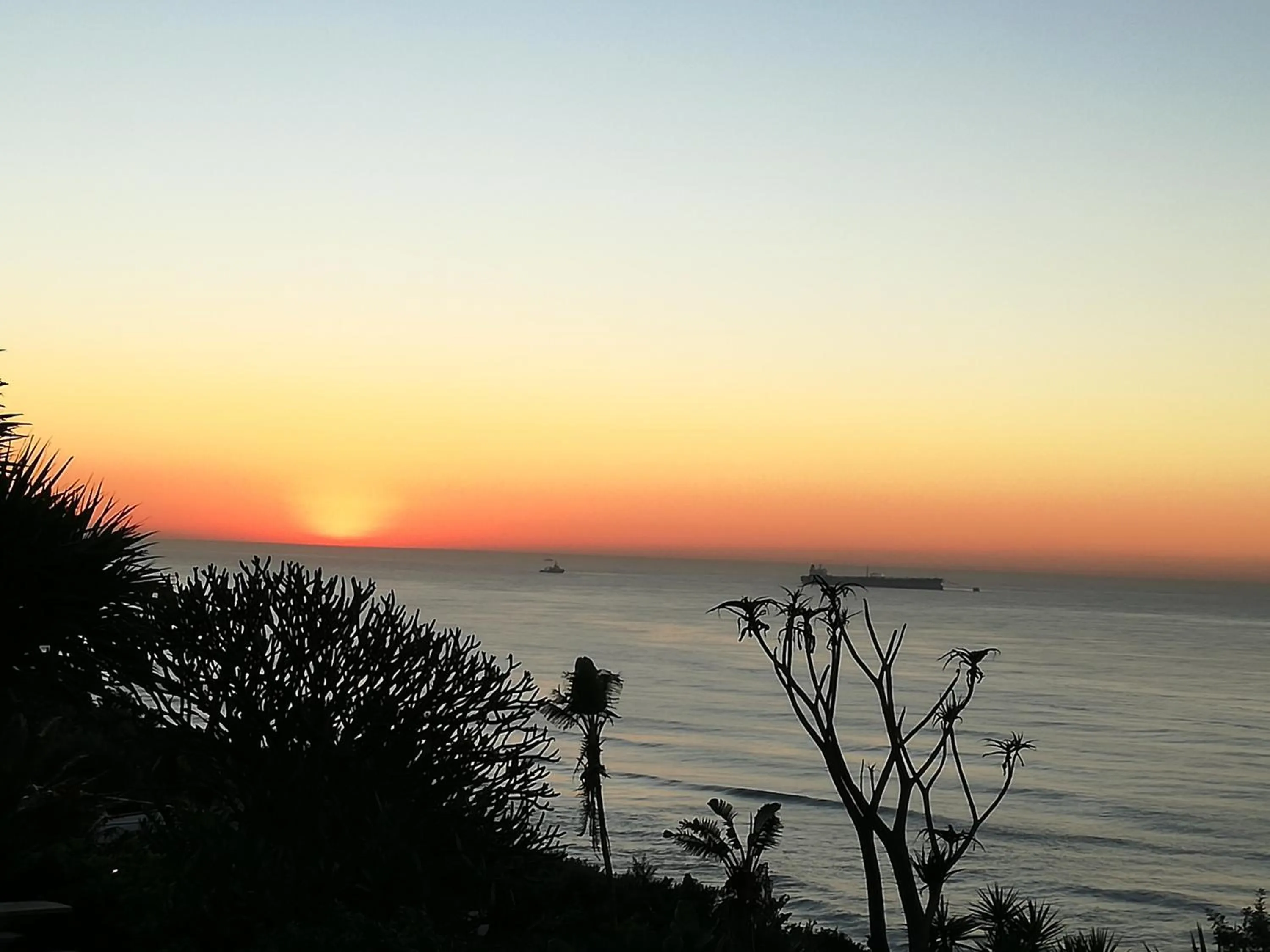 Sea view in Dolphin Point B&B