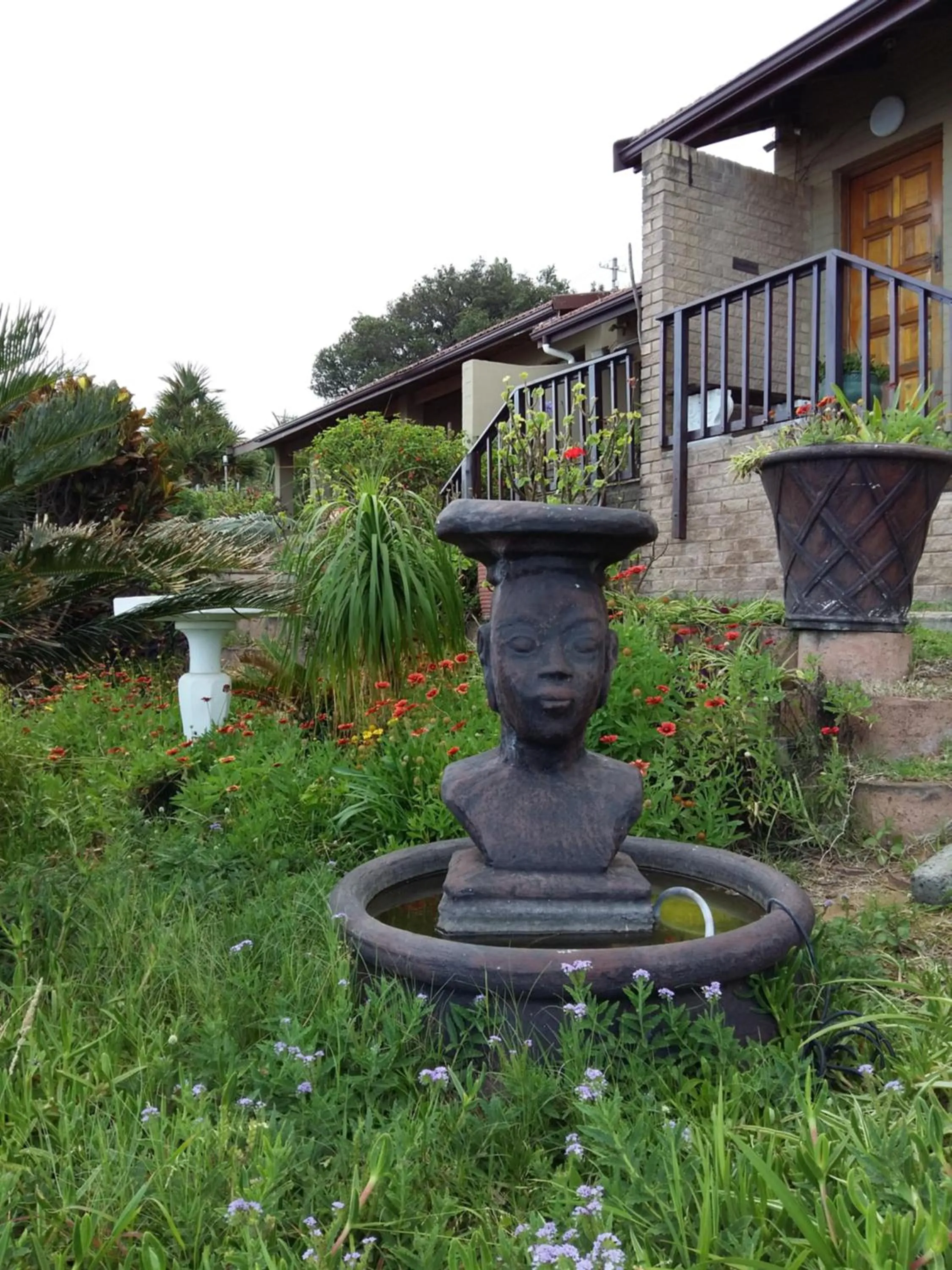 Garden in Dolphin Point B&B