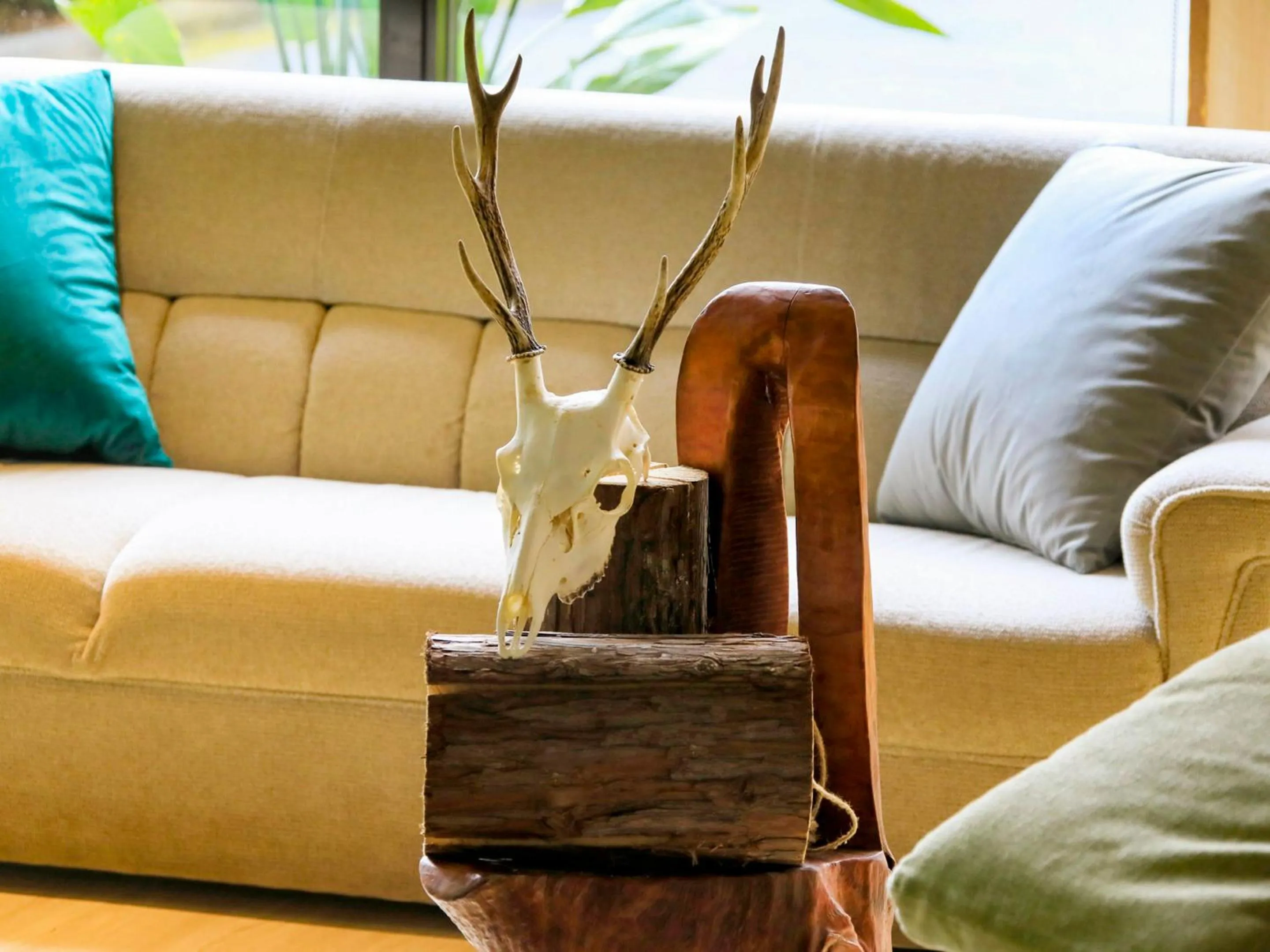 Lobby or reception in SPRINGS VILLAGE 足柄 丹沢温泉リゾート＆グランピング