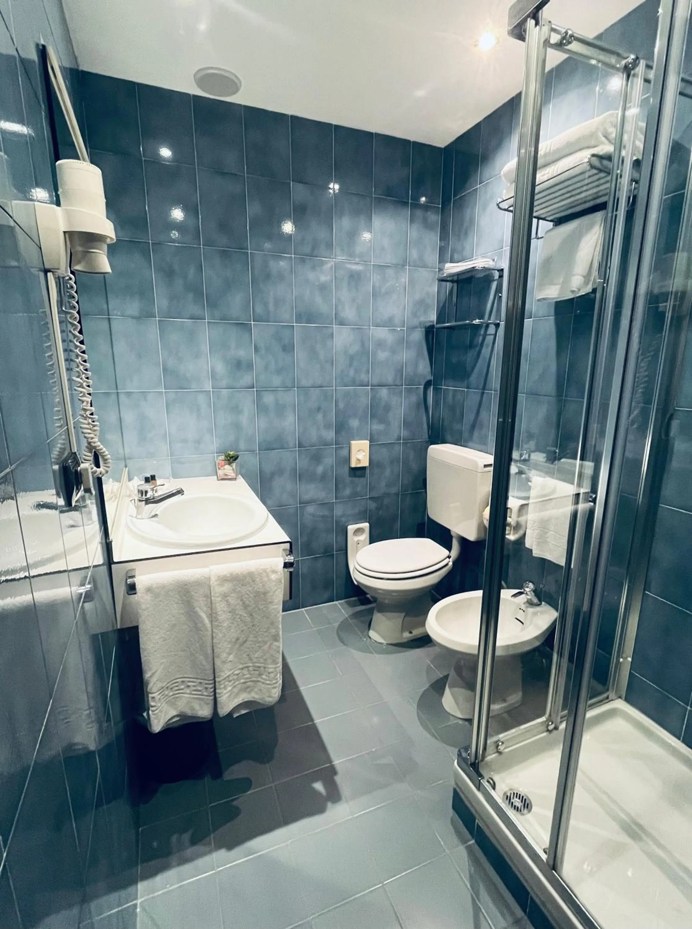 Shower in Hotel Re Enzo