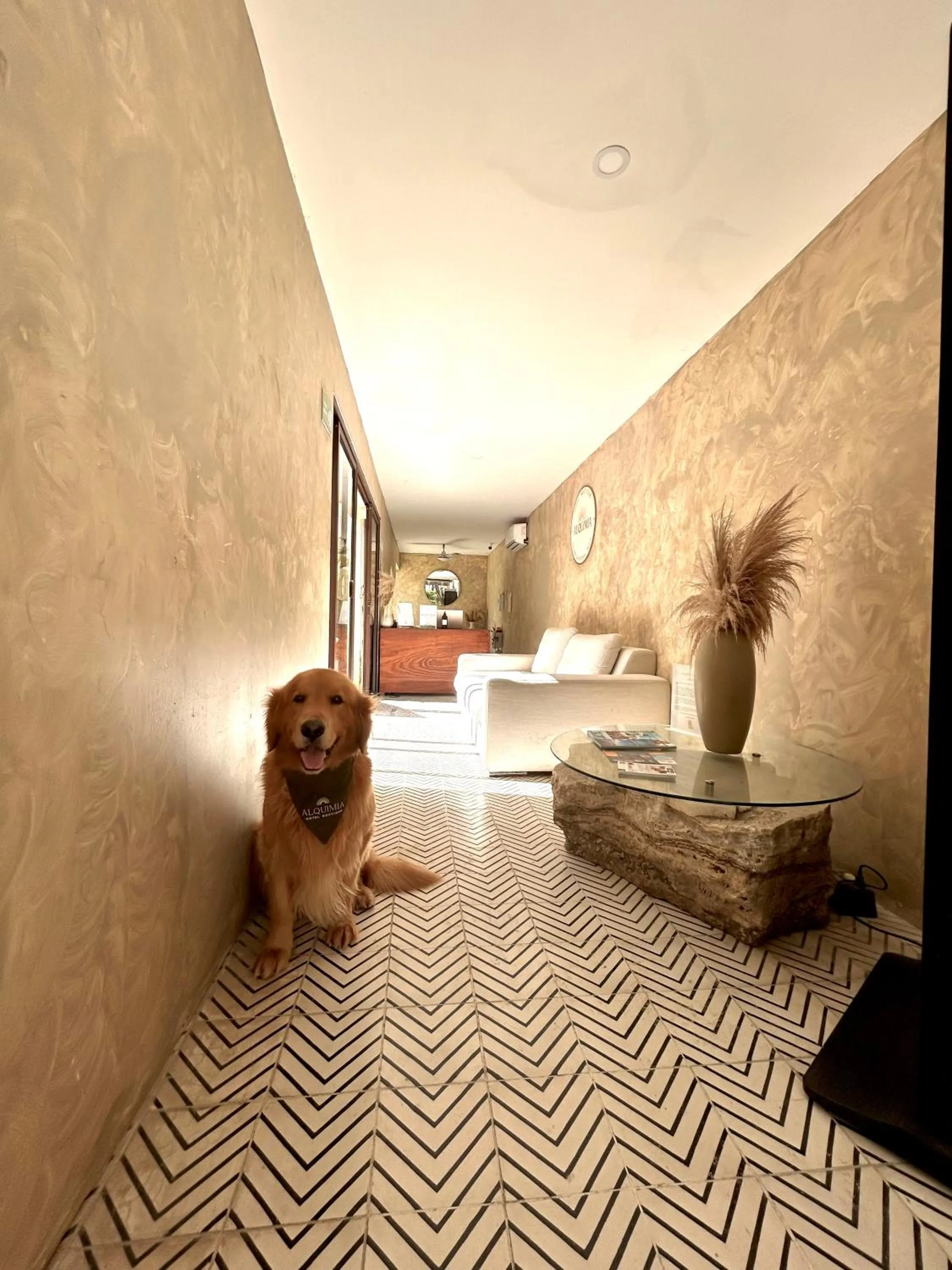 Lobby or reception in Alquimia Hotel Boutique