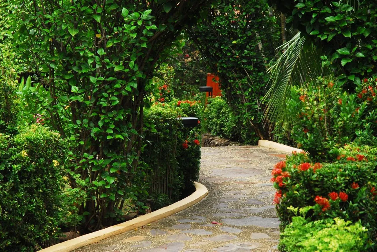 Garden in Villa del Sueño