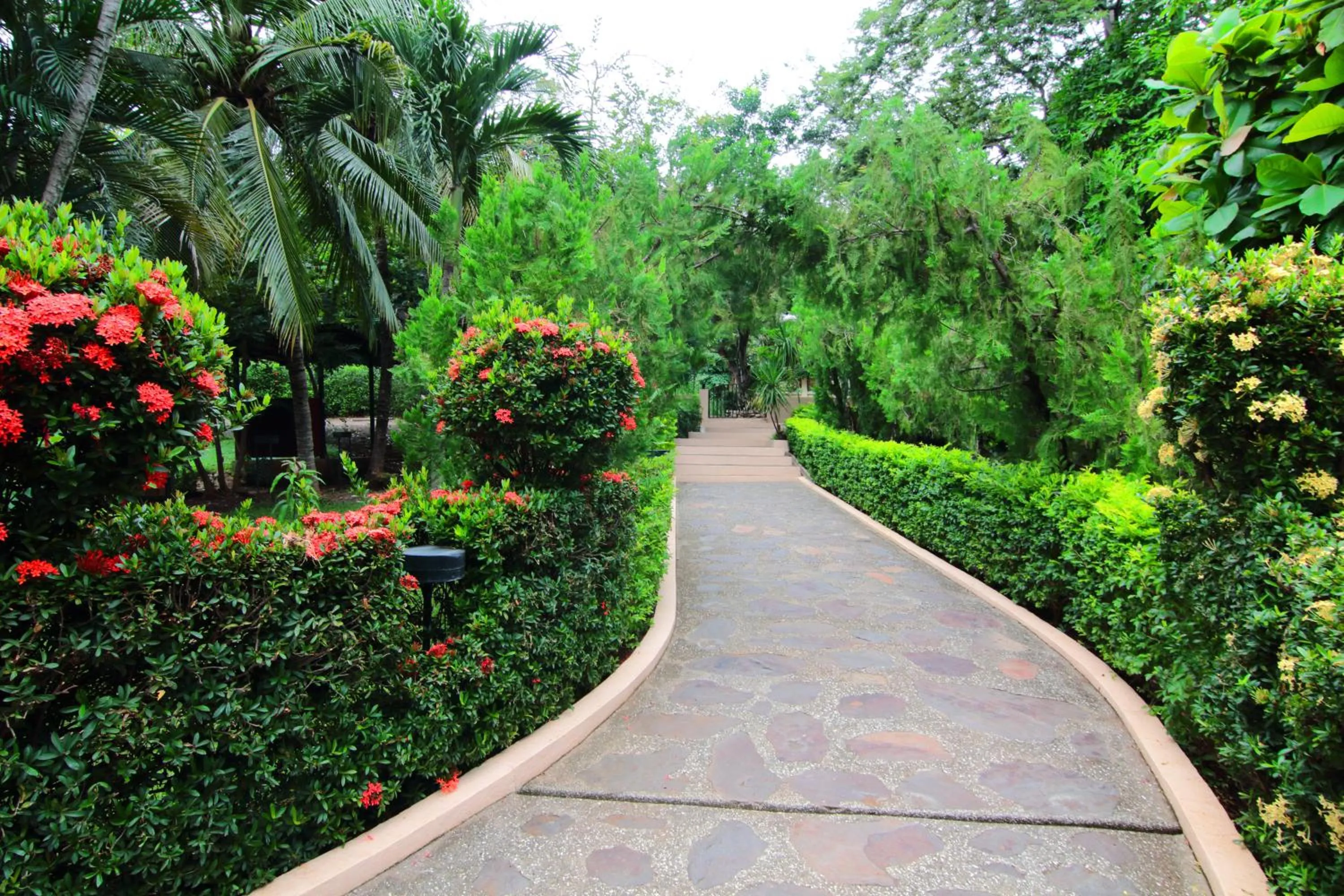 Garden in Villa del Sueño