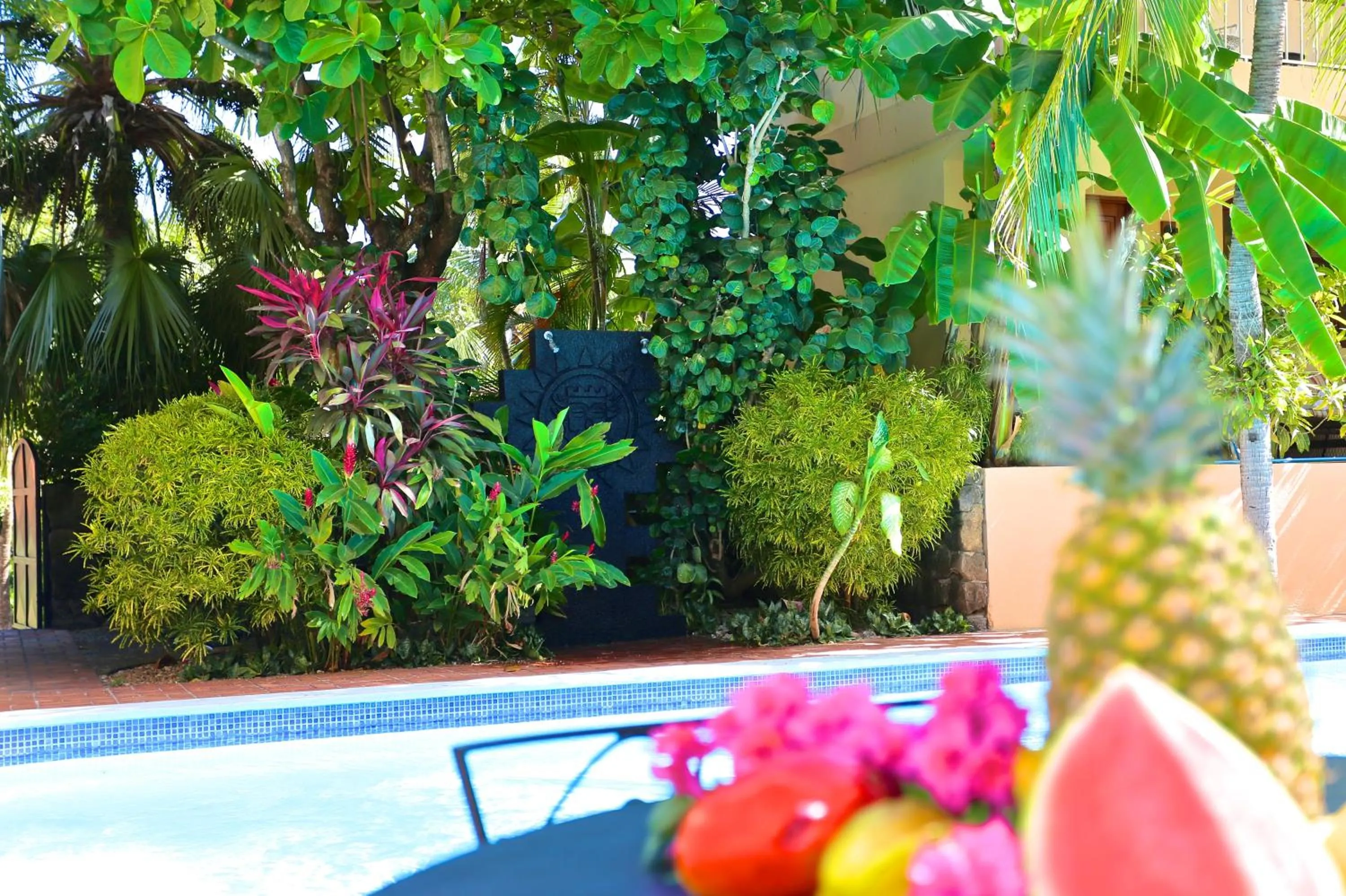 Food in Villa del Sueño