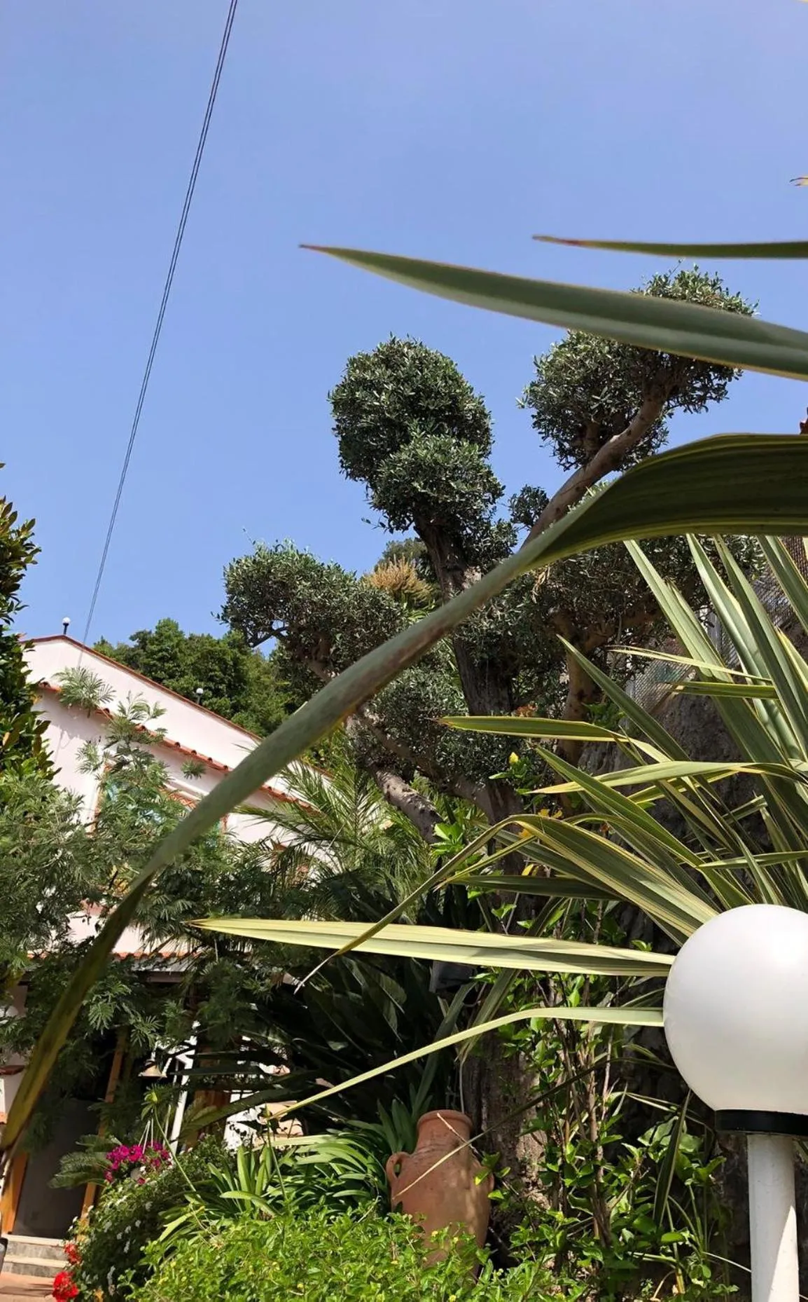 Garden in B&B Villa Anna Wunderbar