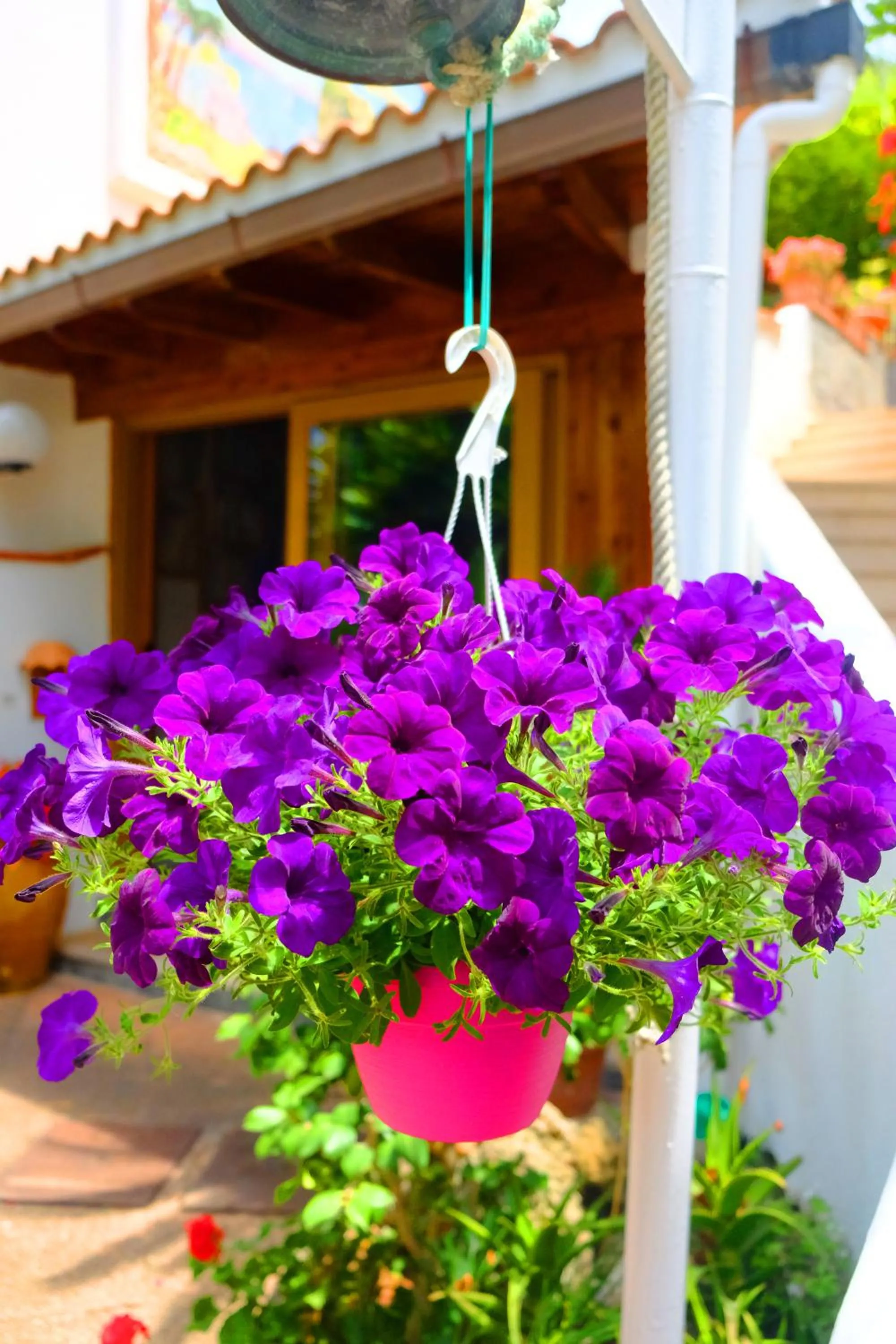 Garden in B&B Villa Anna Wunderbar