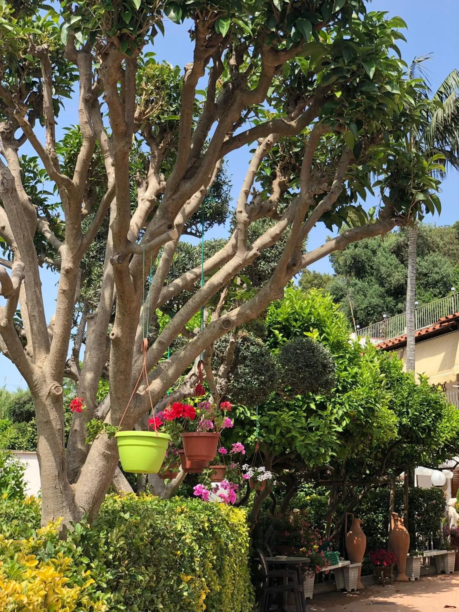 Garden in B&B Villa Anna Wunderbar