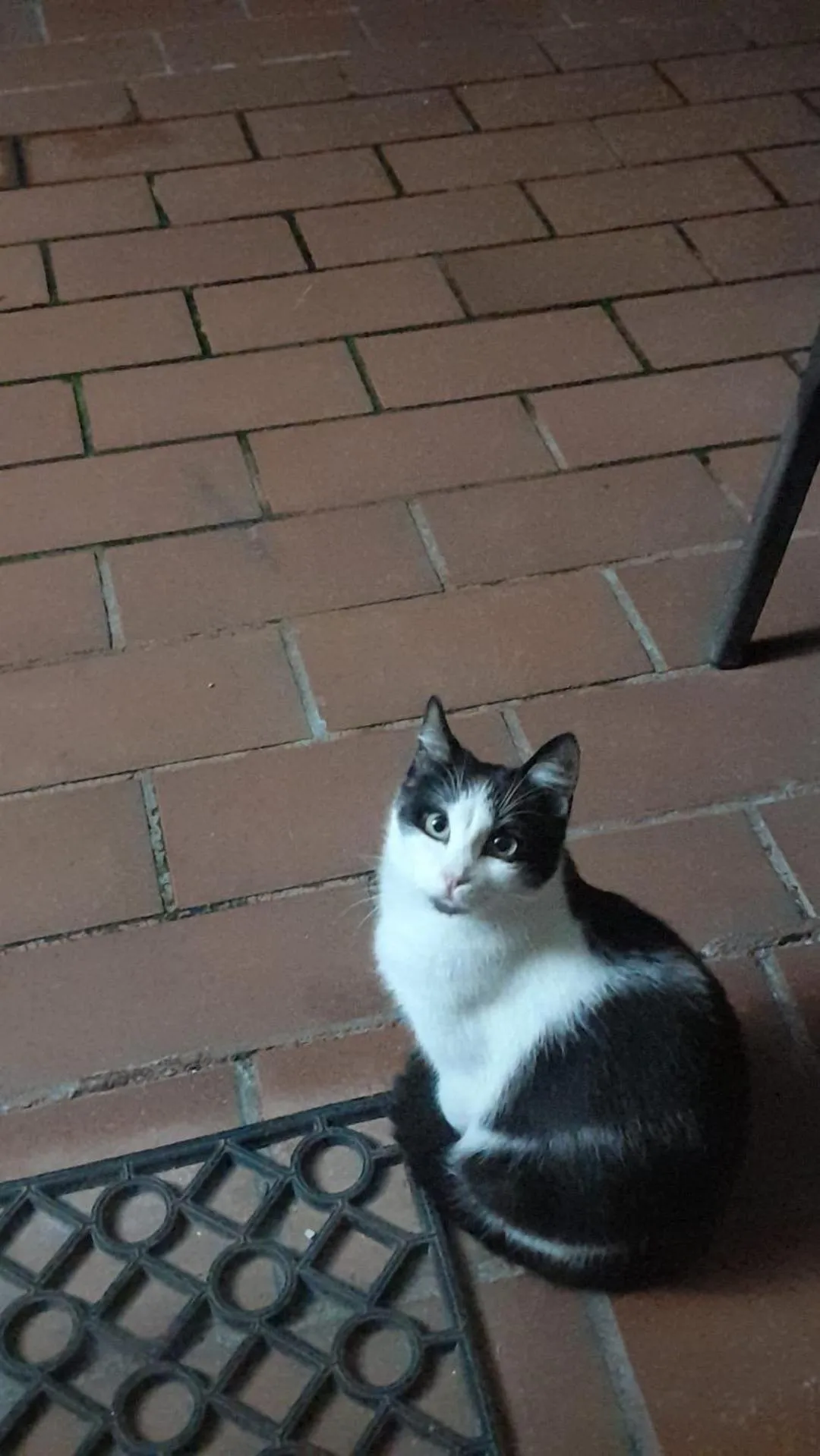 Garden in B&B Villa Anna Wunderbar