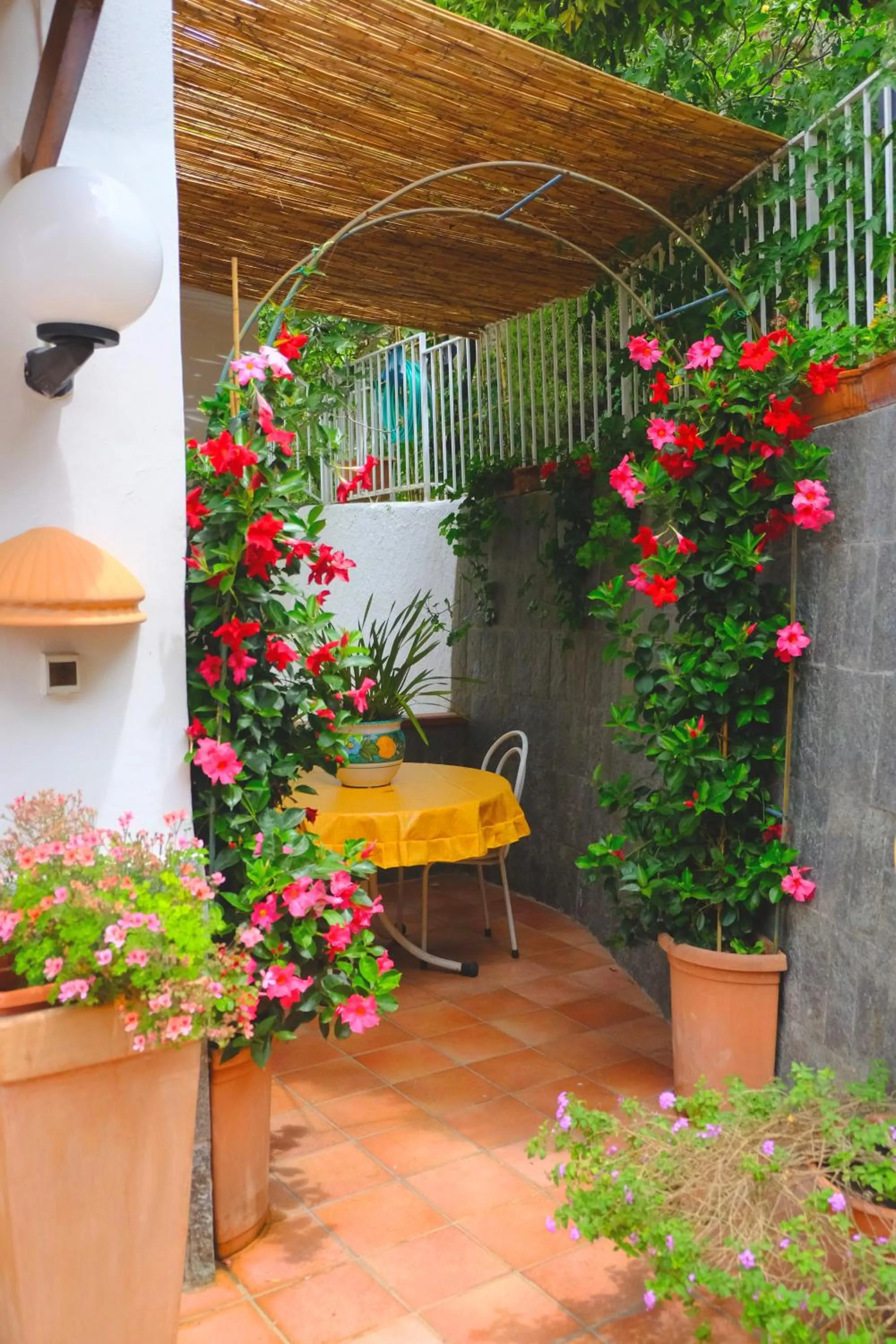 Garden in B&B Villa Anna Wunderbar