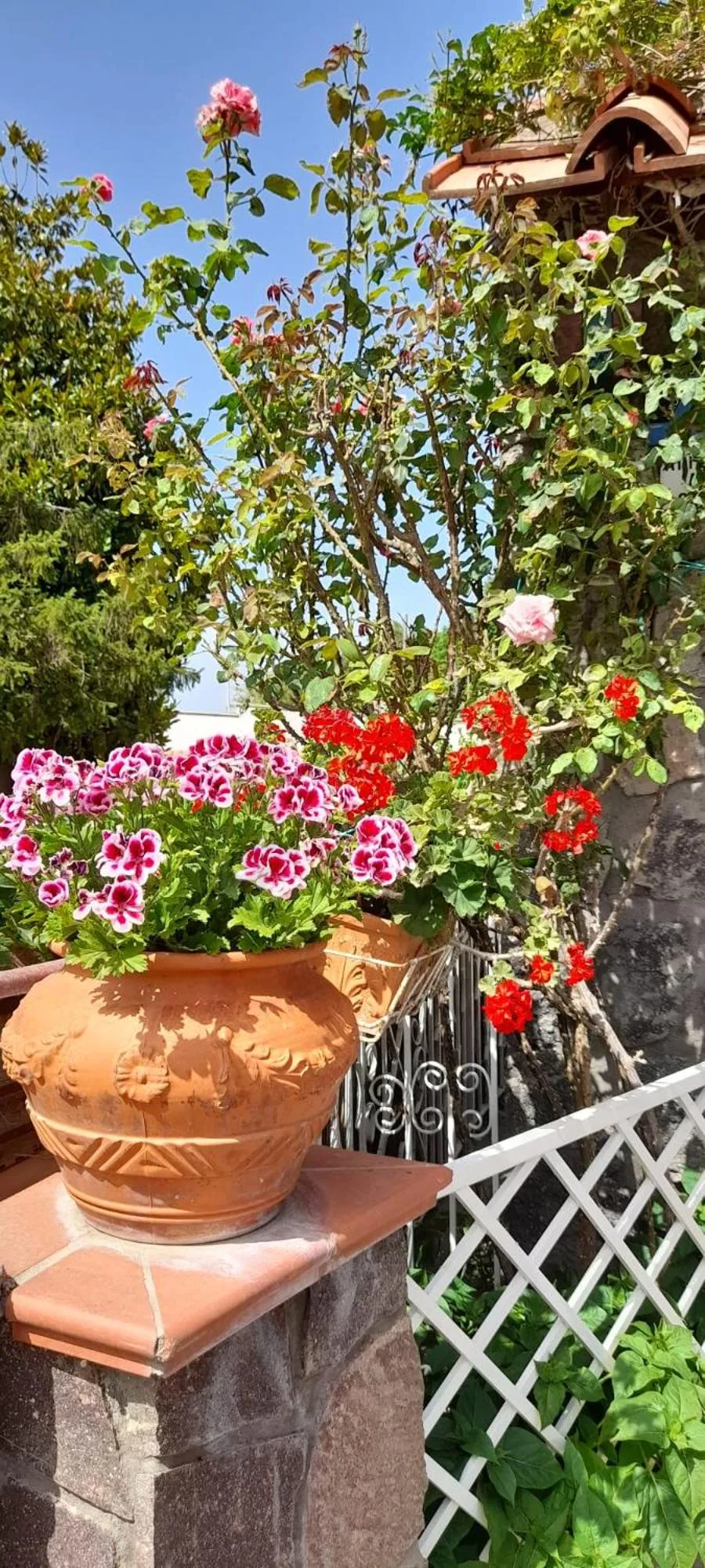 Garden in B&B Villa Anna Wunderbar