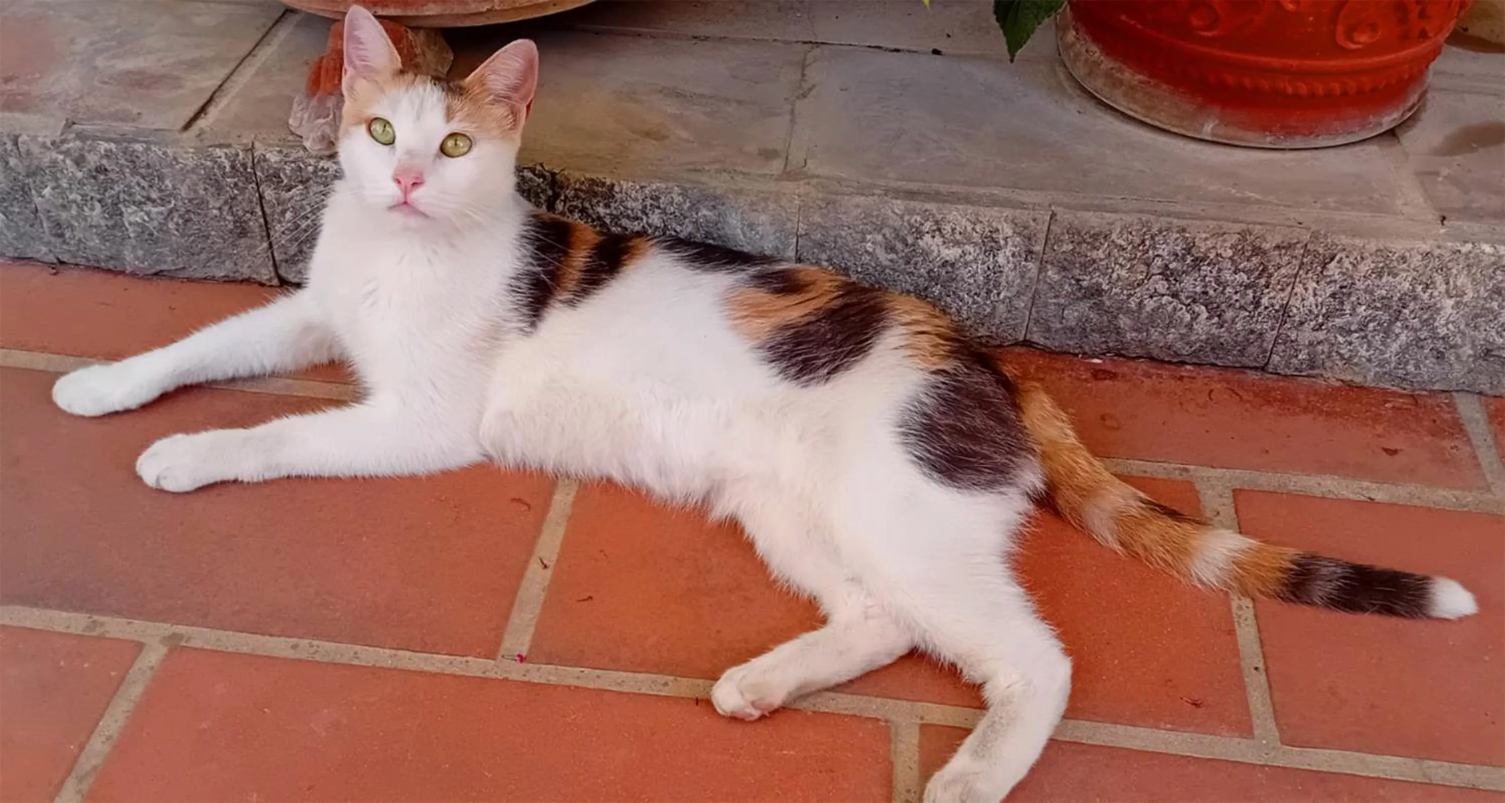 Garden in B&B Villa Anna Wunderbar