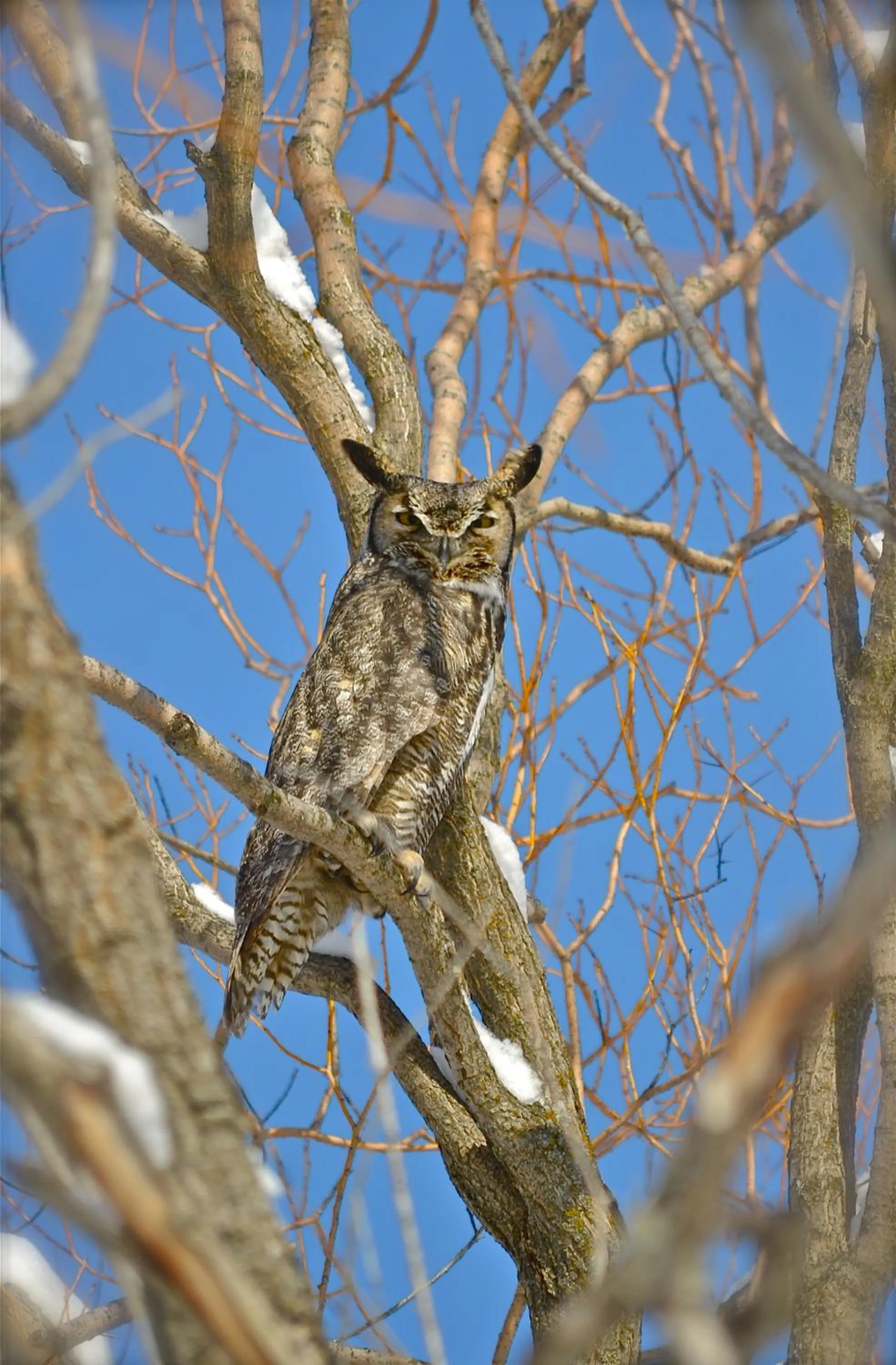 Other in Ninepipes Lodge