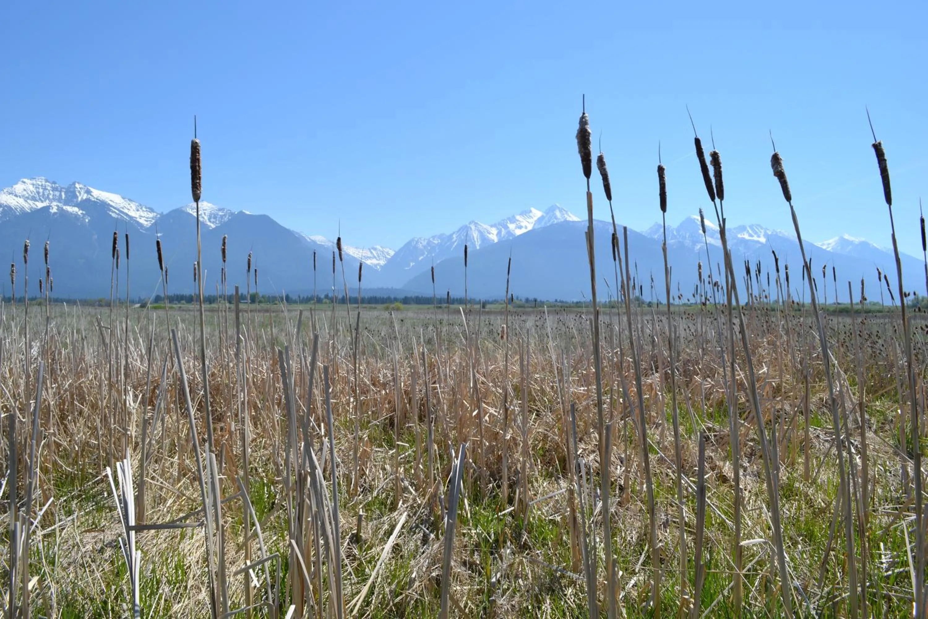 Other in Ninepipes Lodge