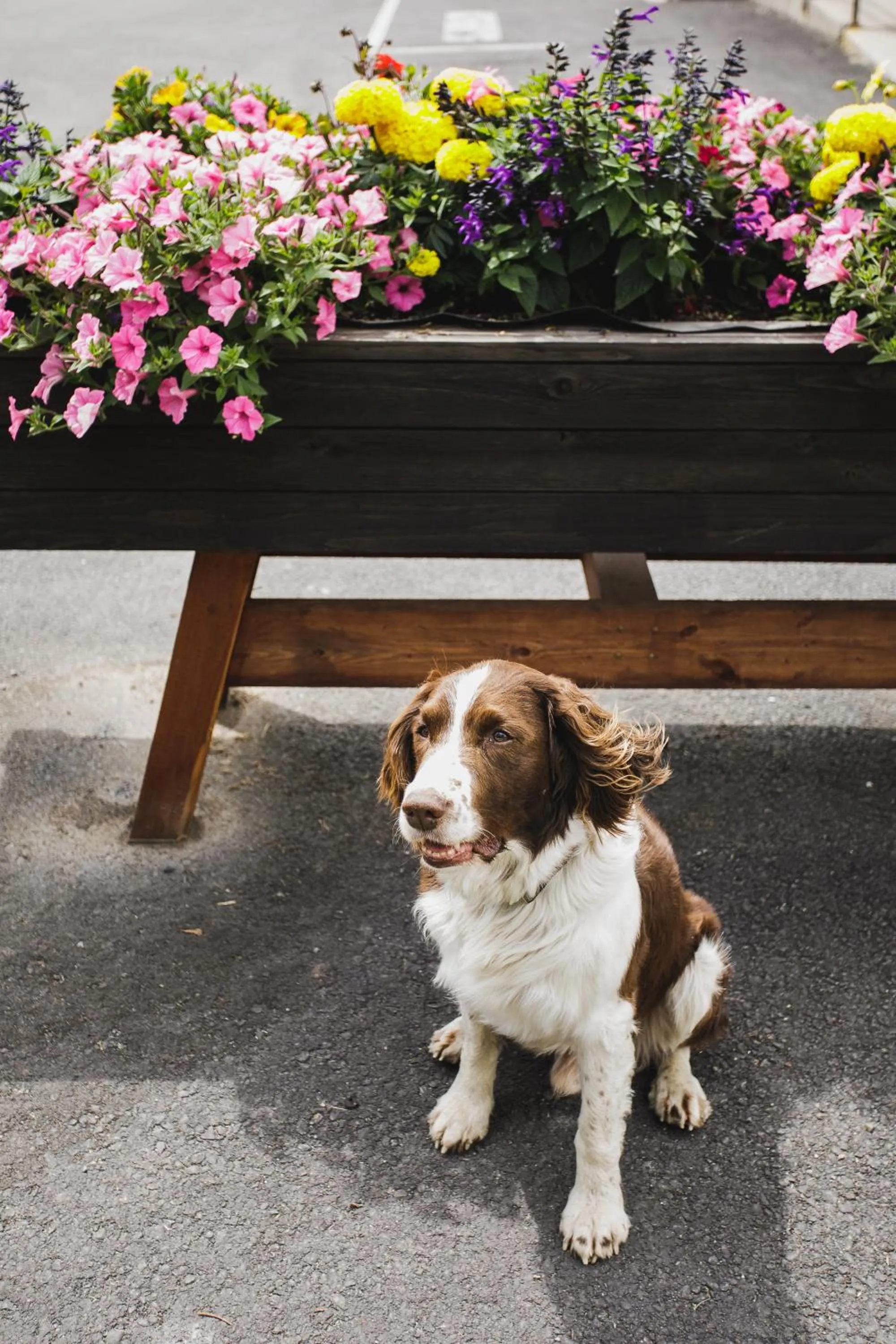 Property building in Ninepipes Lodge