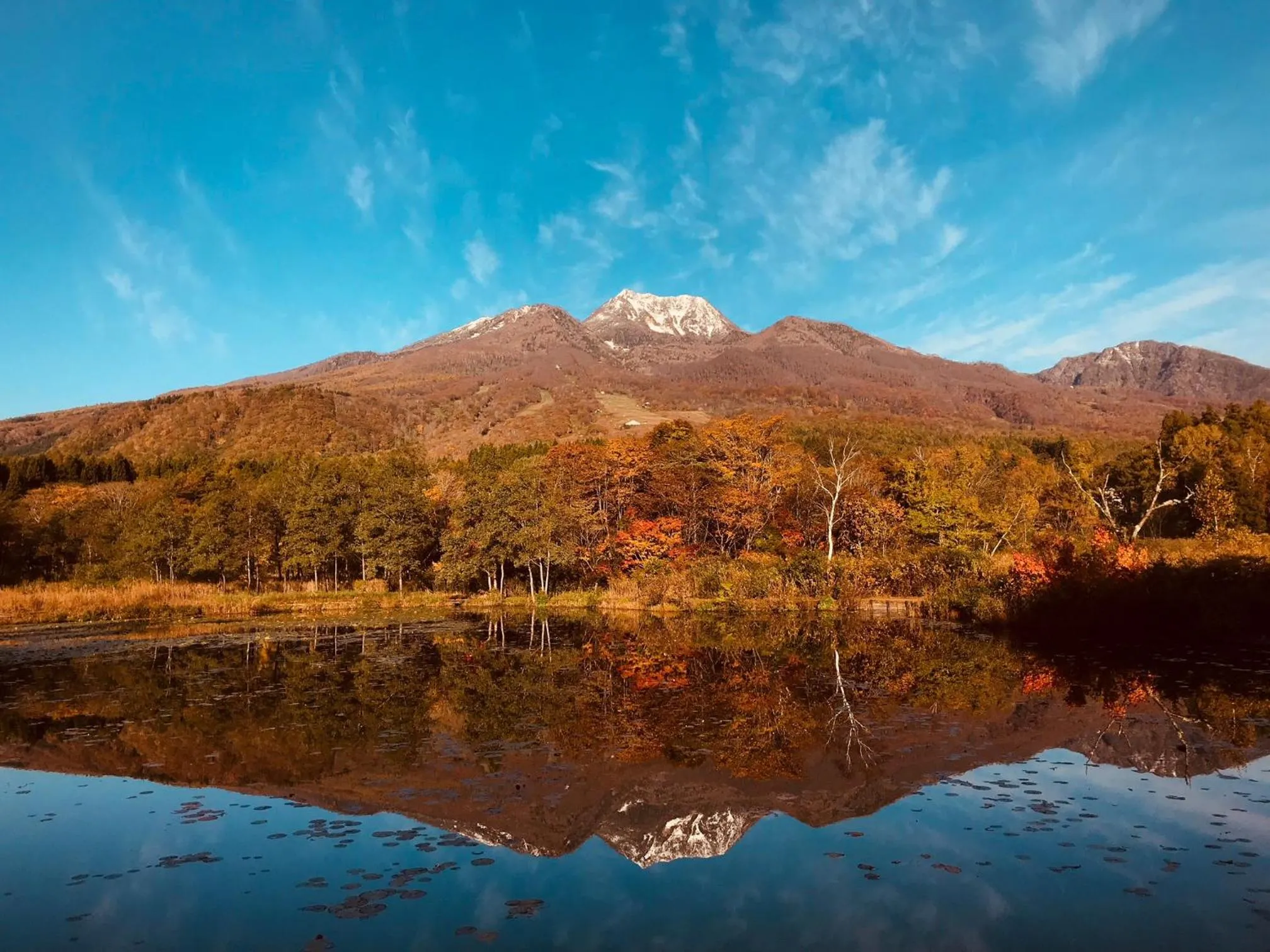 Off site in Hotel Alpen Blick