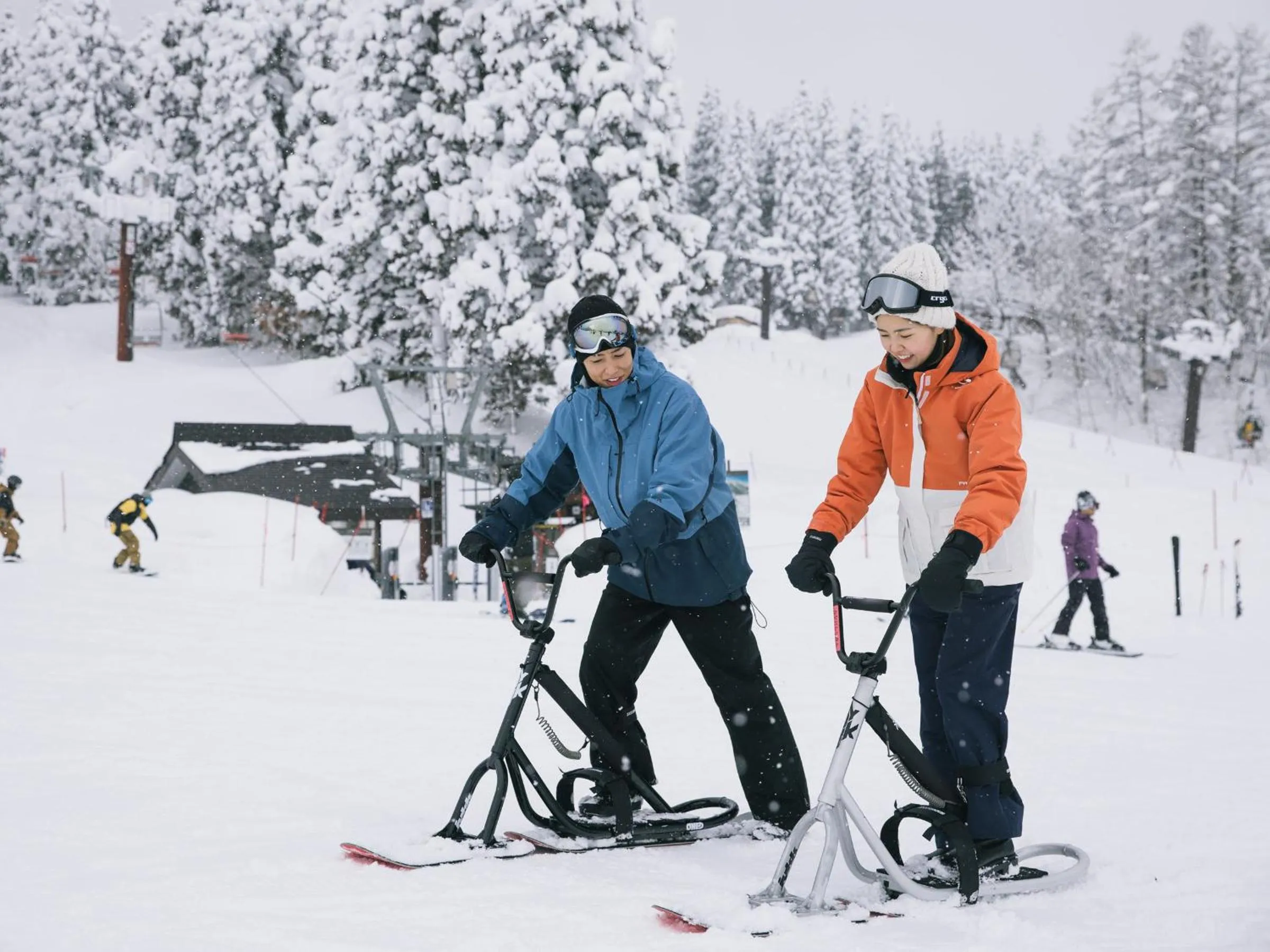 Skiing in Hotel Alpen Blick