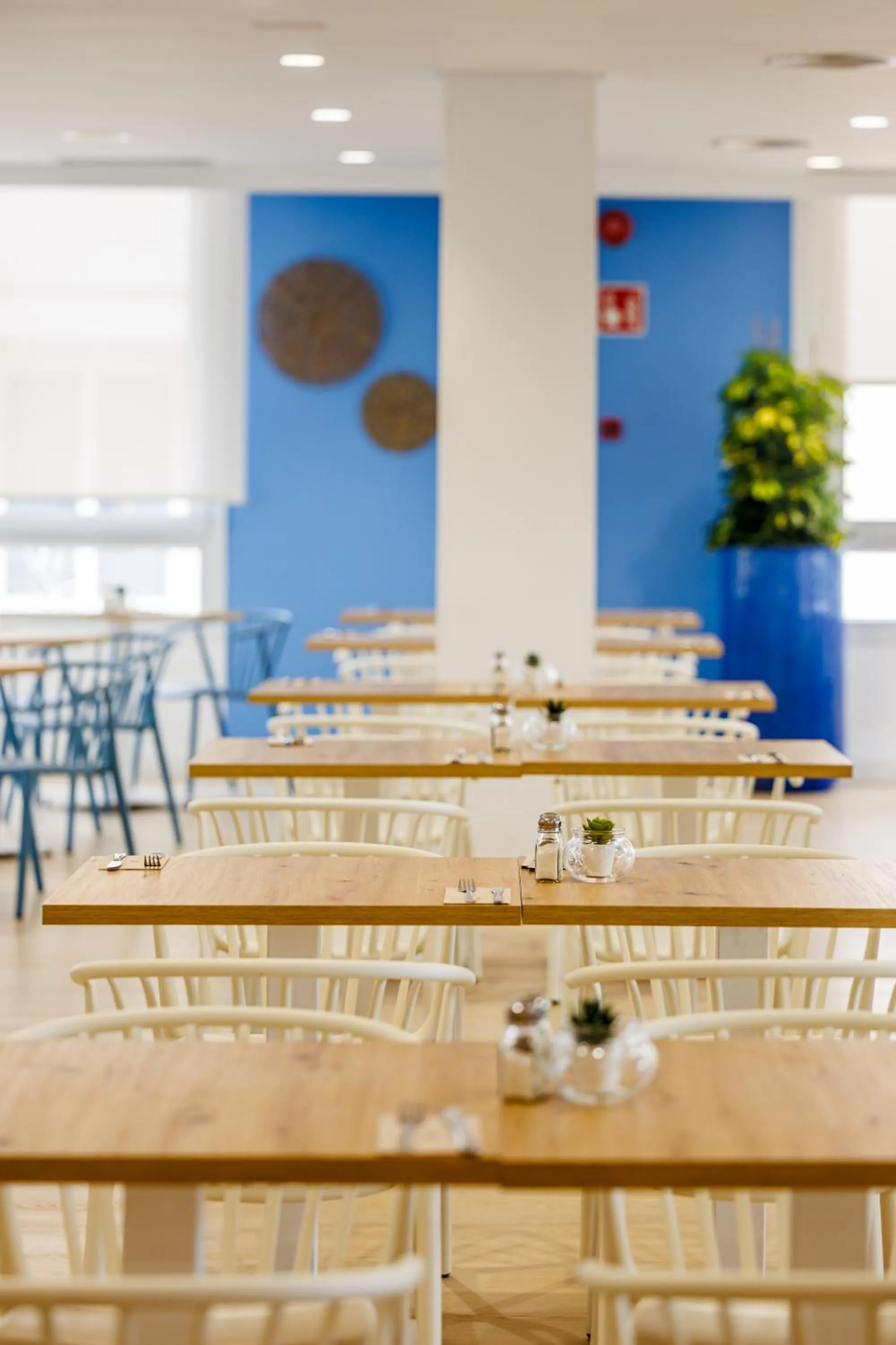 Restaurant/places to eat in O7 Club Cala Ratjada