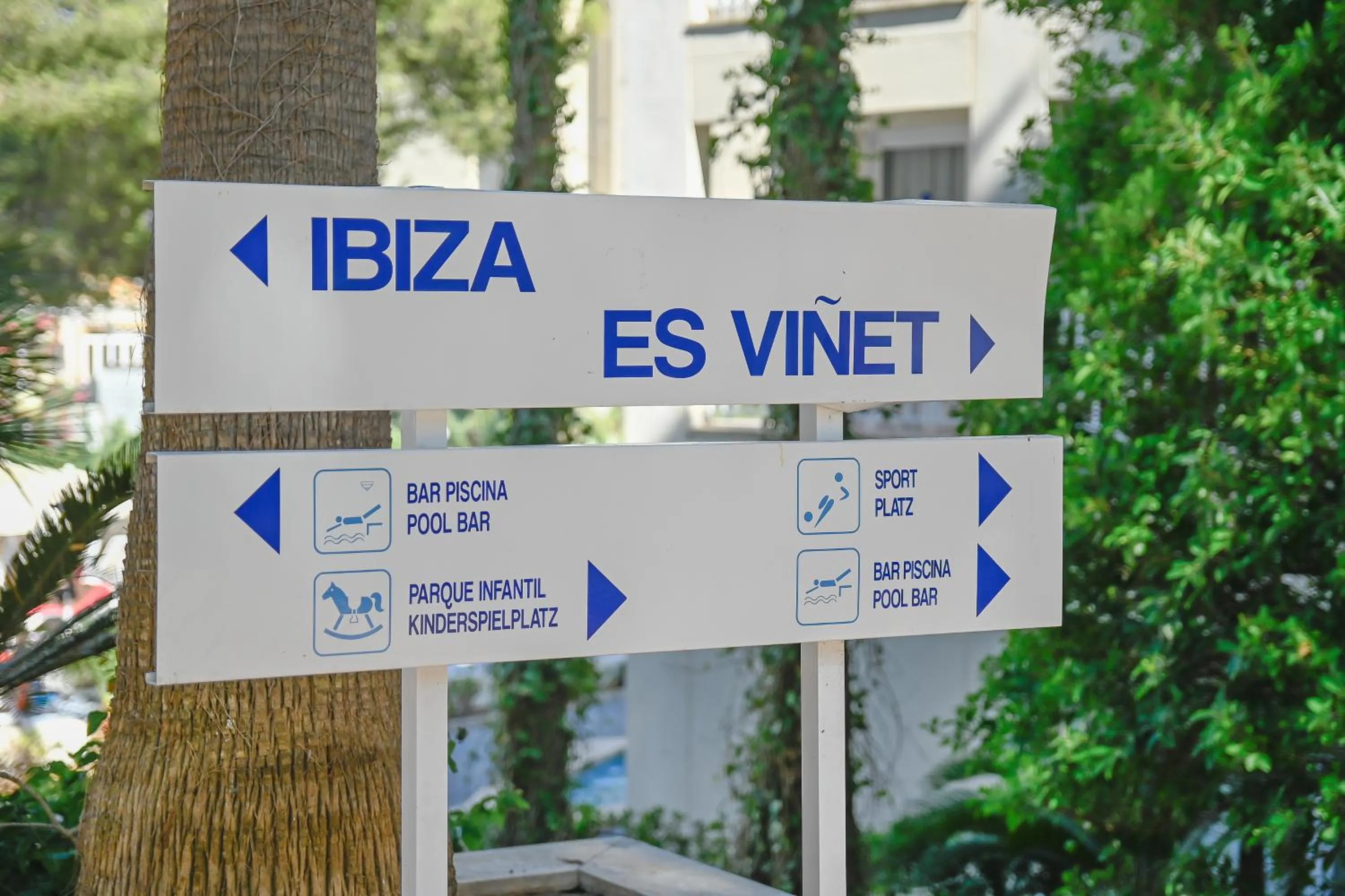 Lobby or reception in O7 Club Cala Ratjada