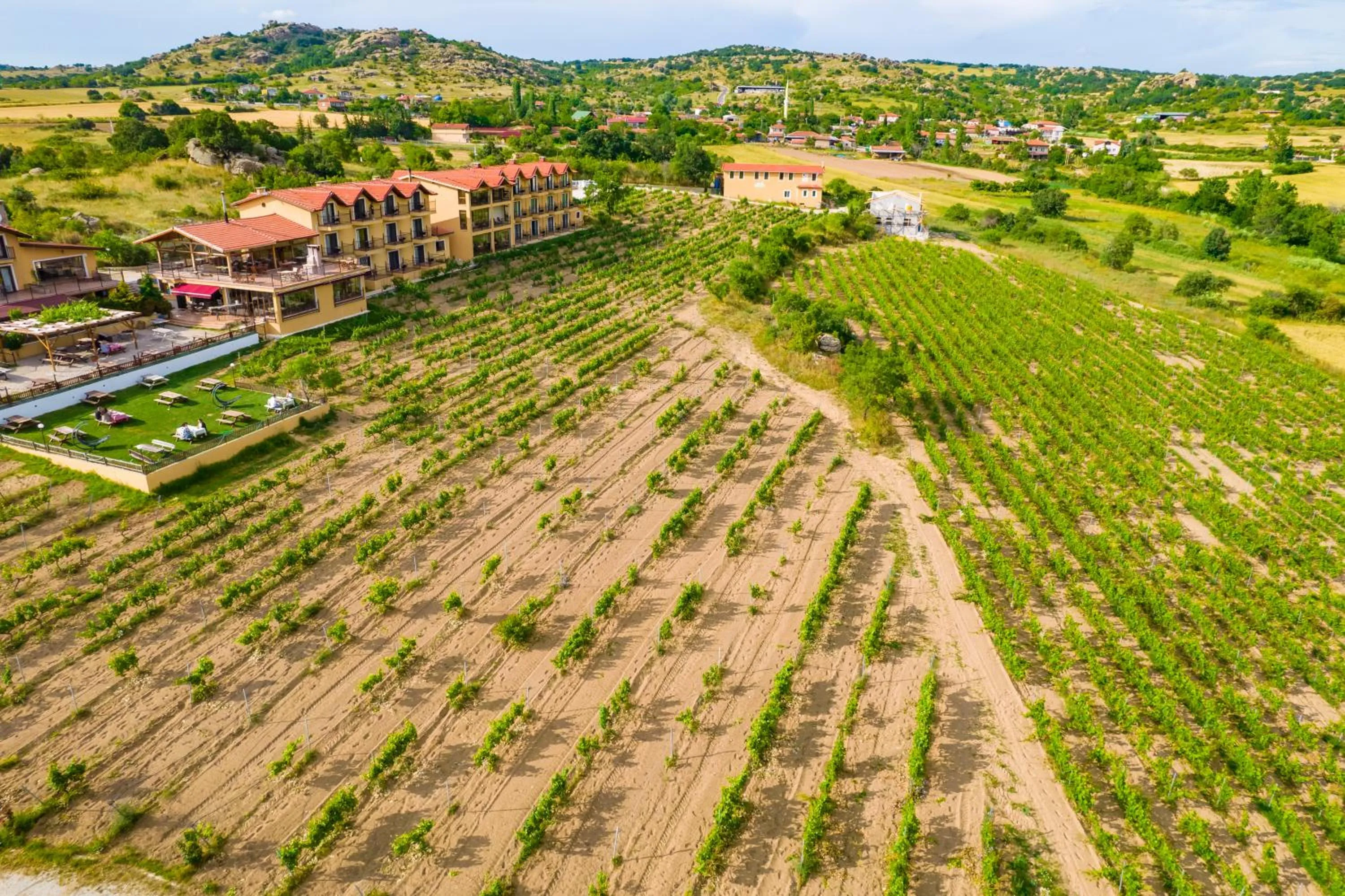 Bird's eye view in Dessera Vineyards Hotel
